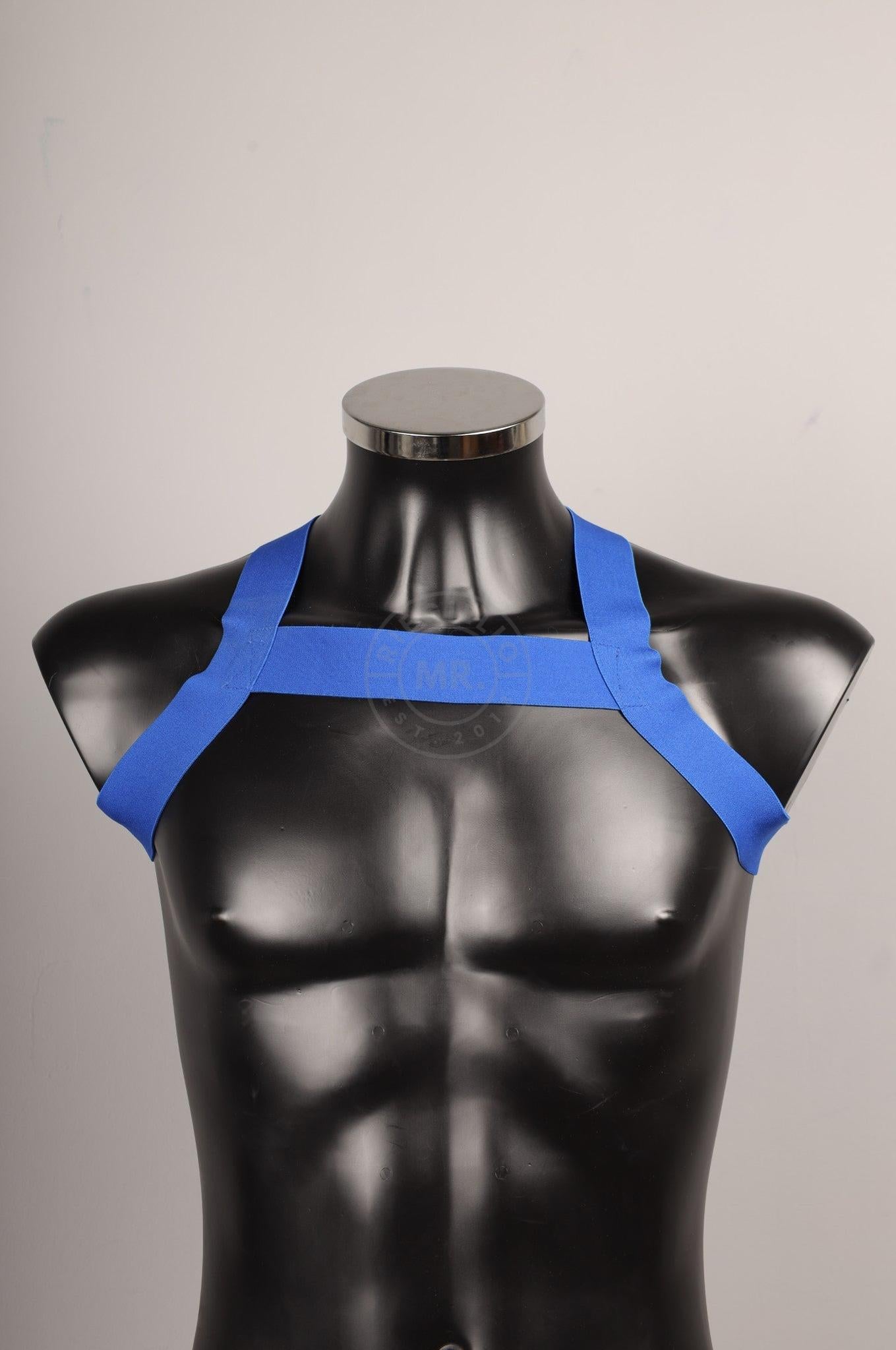 #313 Cotton Harness at MR. Riegillio