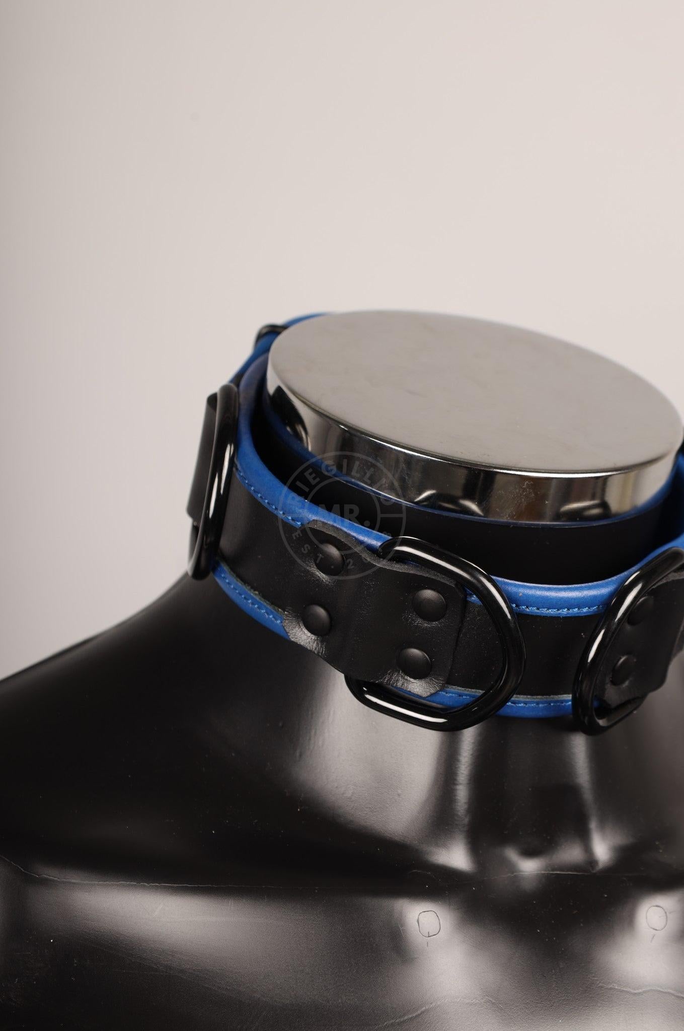#316 Sheep Leather Collar at MR. Riegillio