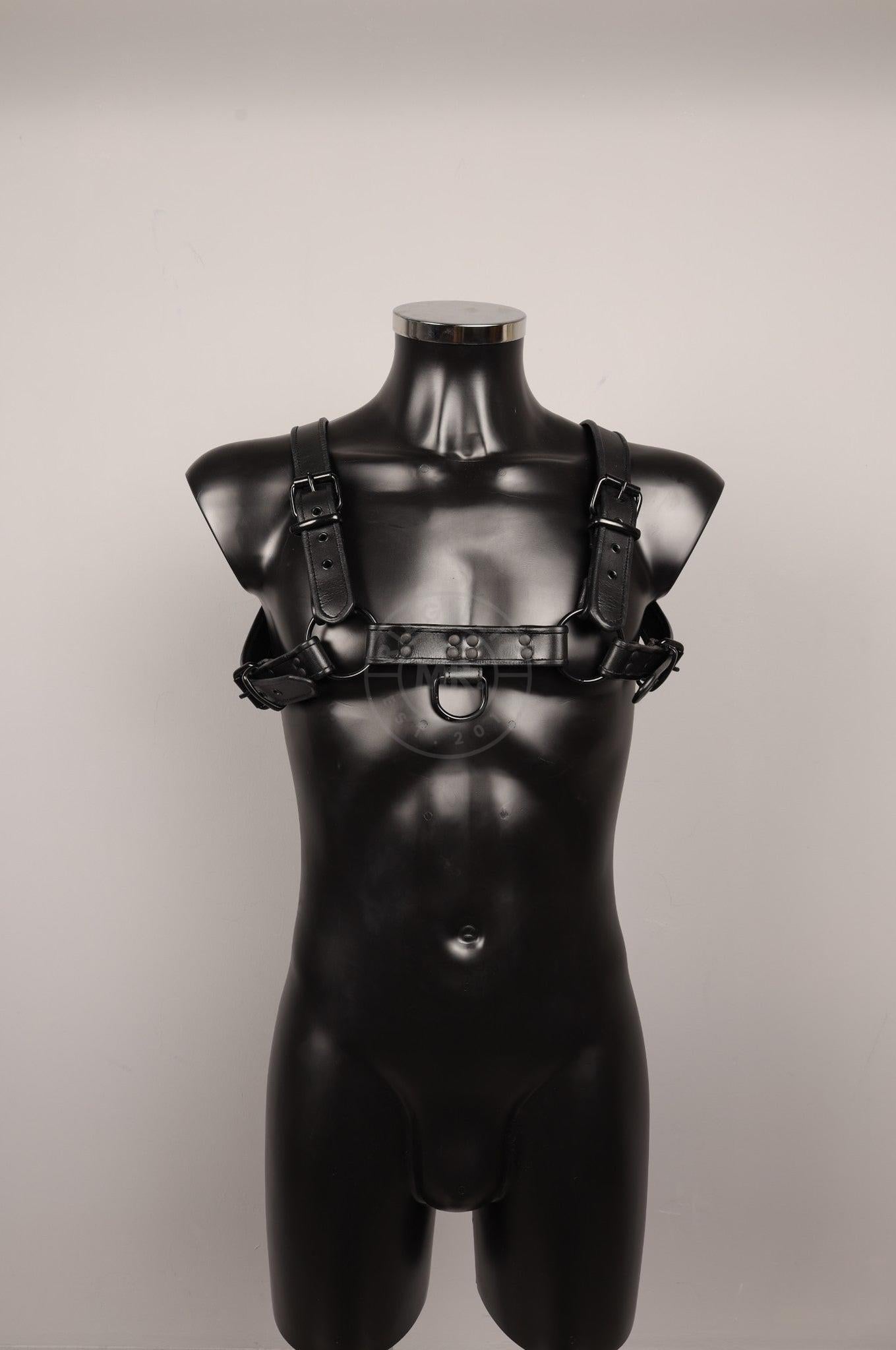#352 Leather Harness at MR. Riegillio