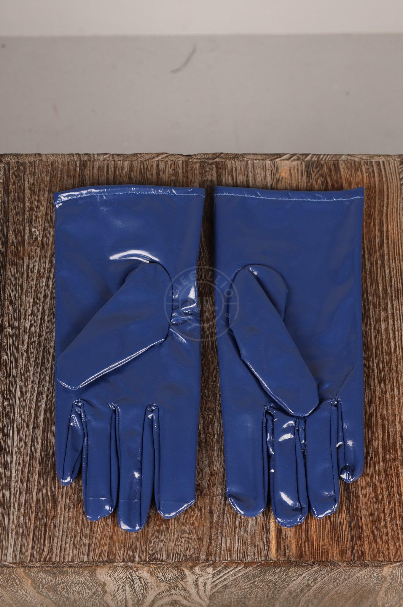#376 PVC Gloves at MR. Riegillio