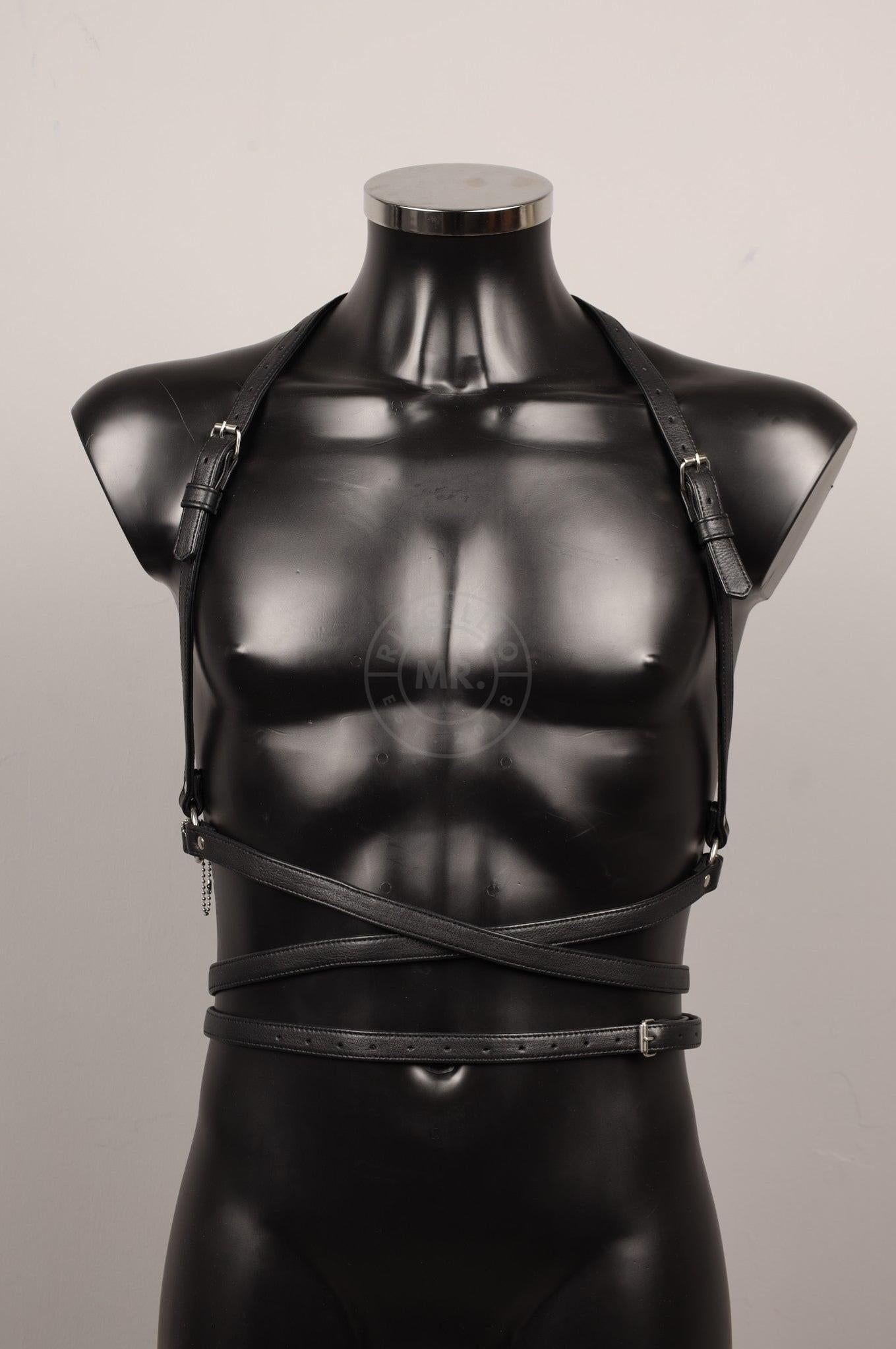 #381 Leather Harness at MR. Riegillio