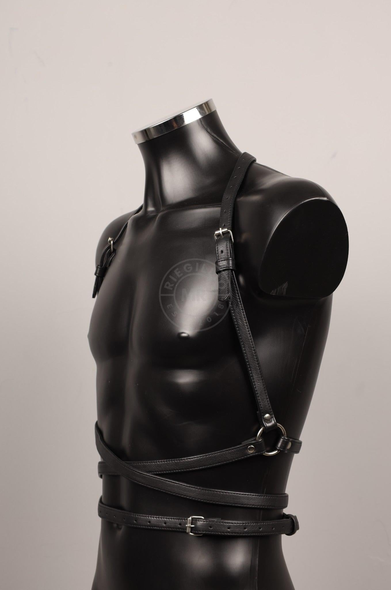 #381 Leather Harness at MR. Riegillio