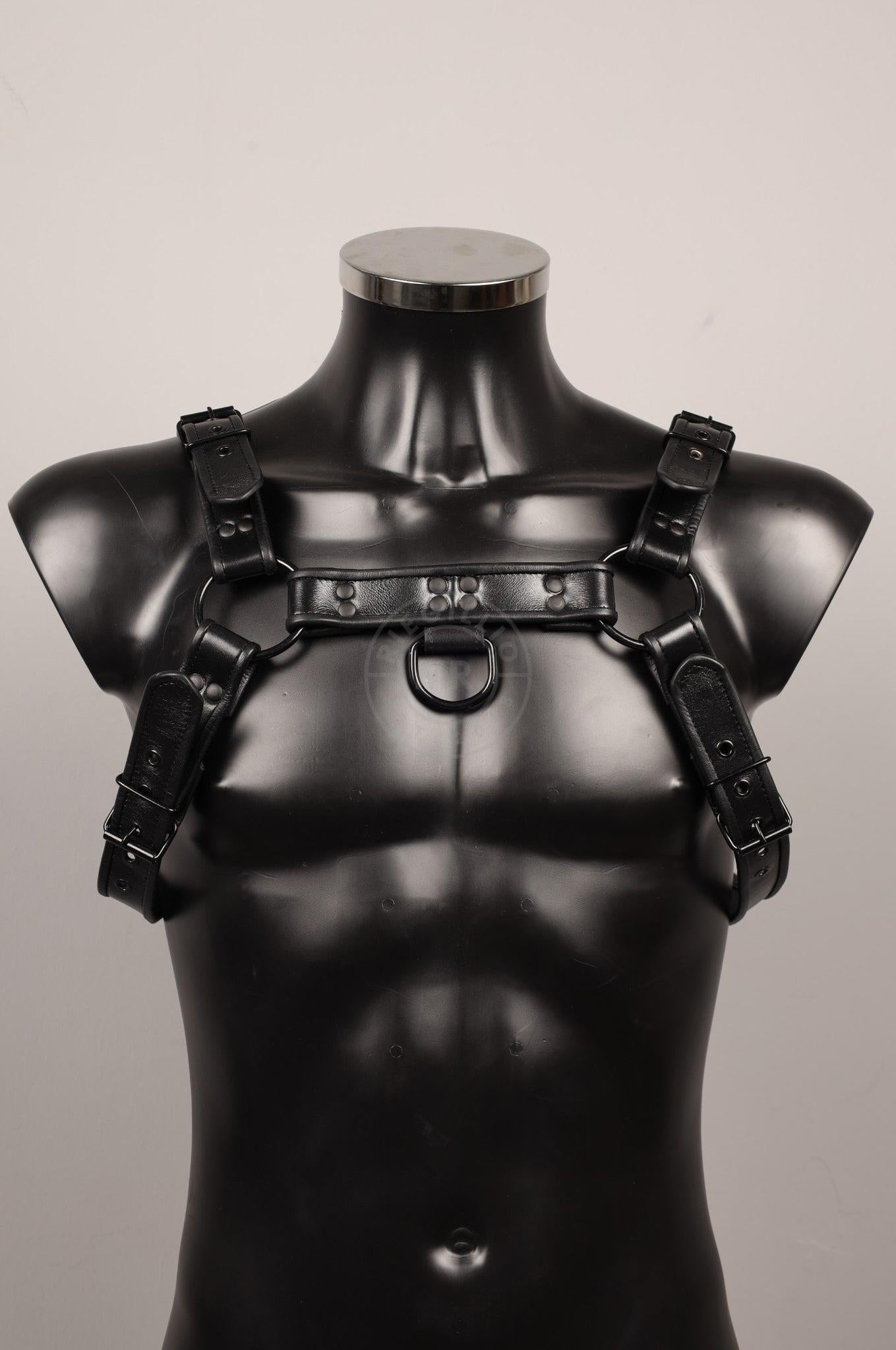 #387 Leather Harness at MR. Riegillio