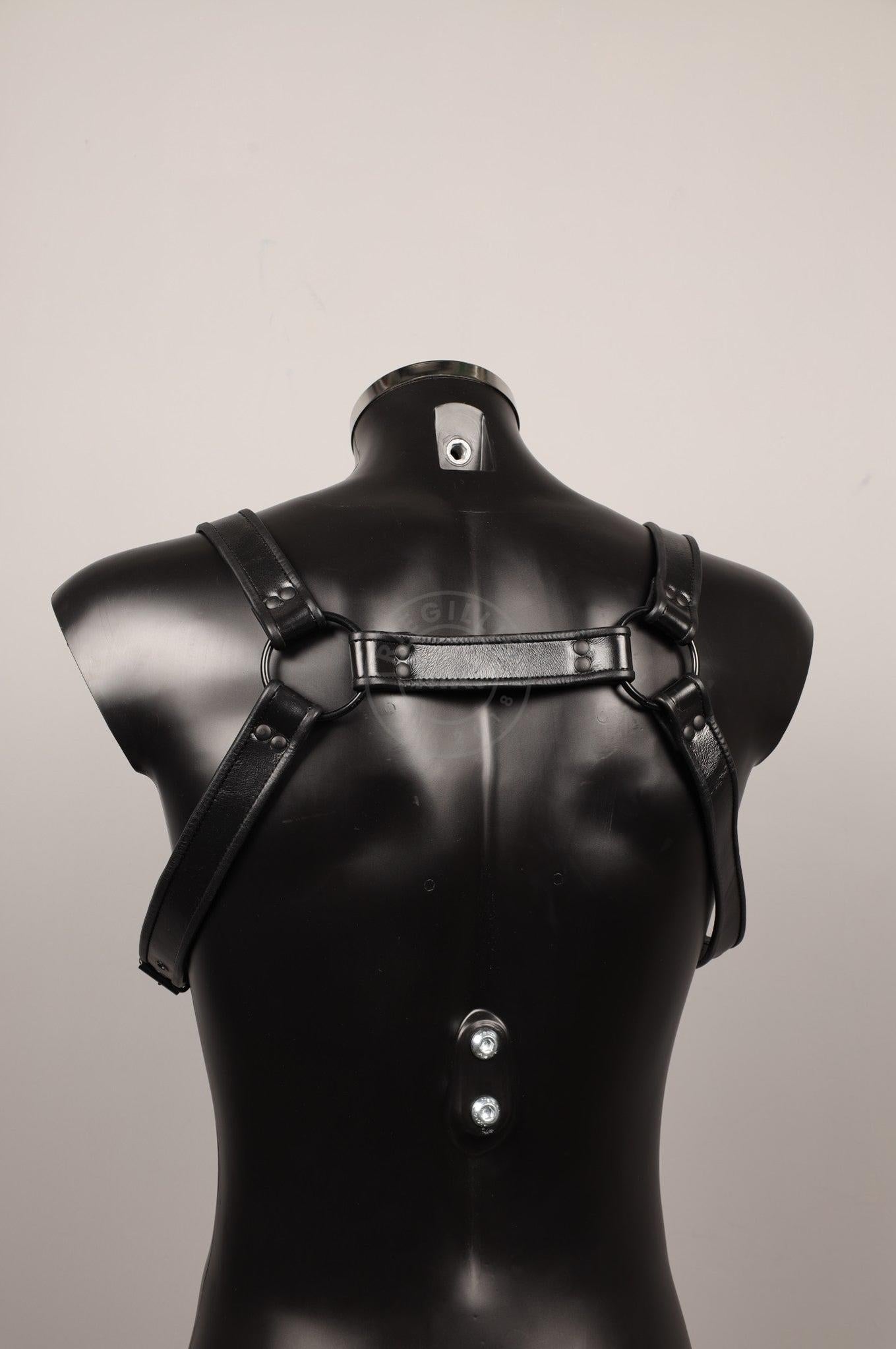#387 Leather Harness at MR. Riegillio