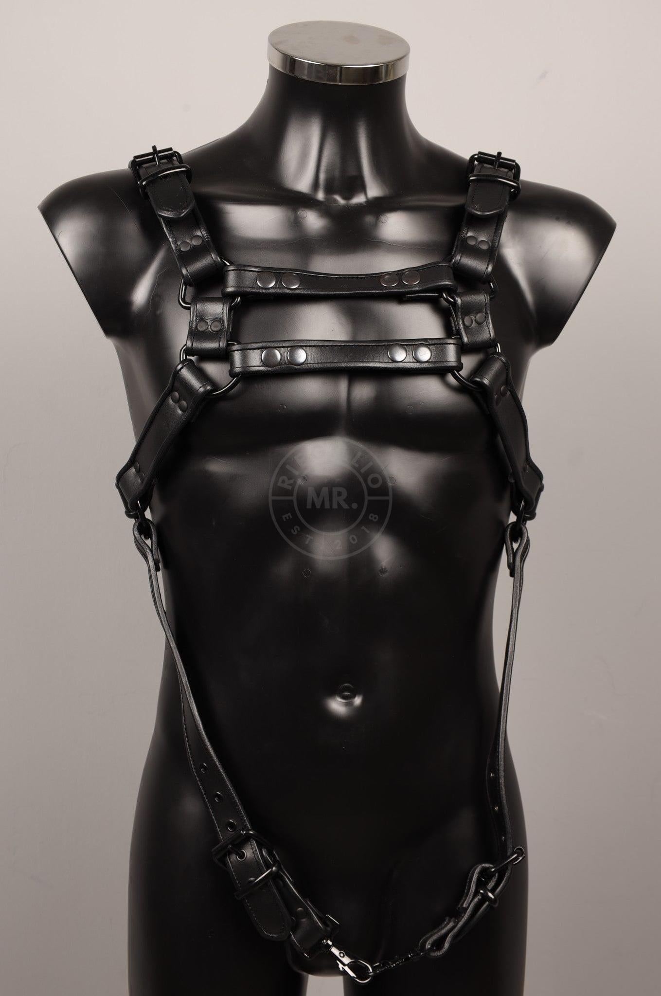 #389 Leather Harness at MR. Riegillio