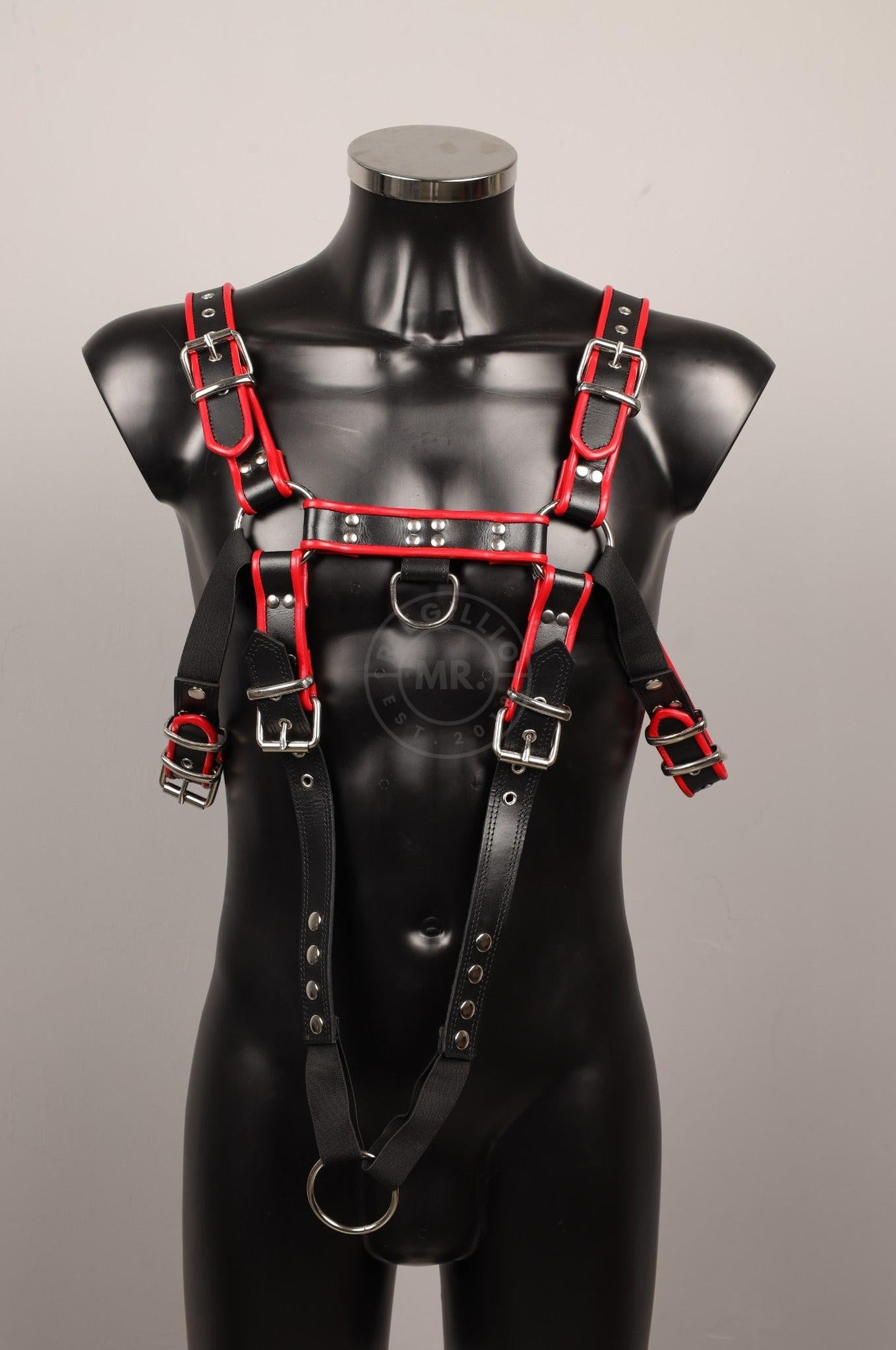 #390 Leather Harness at MR. Riegillio