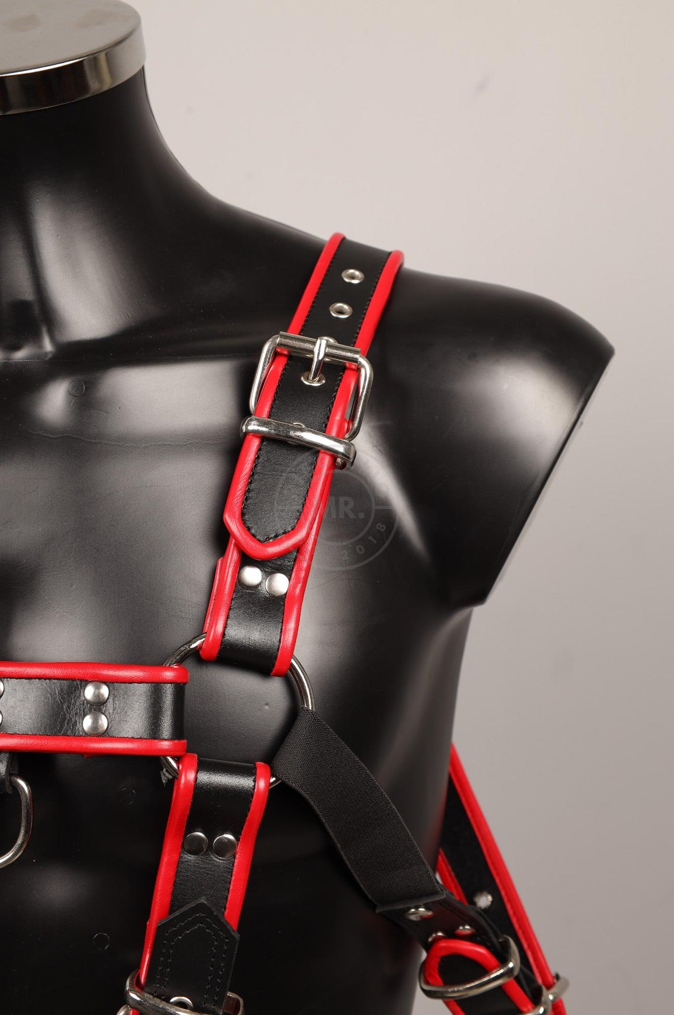 #390 Leather Harness at MR. Riegillio
