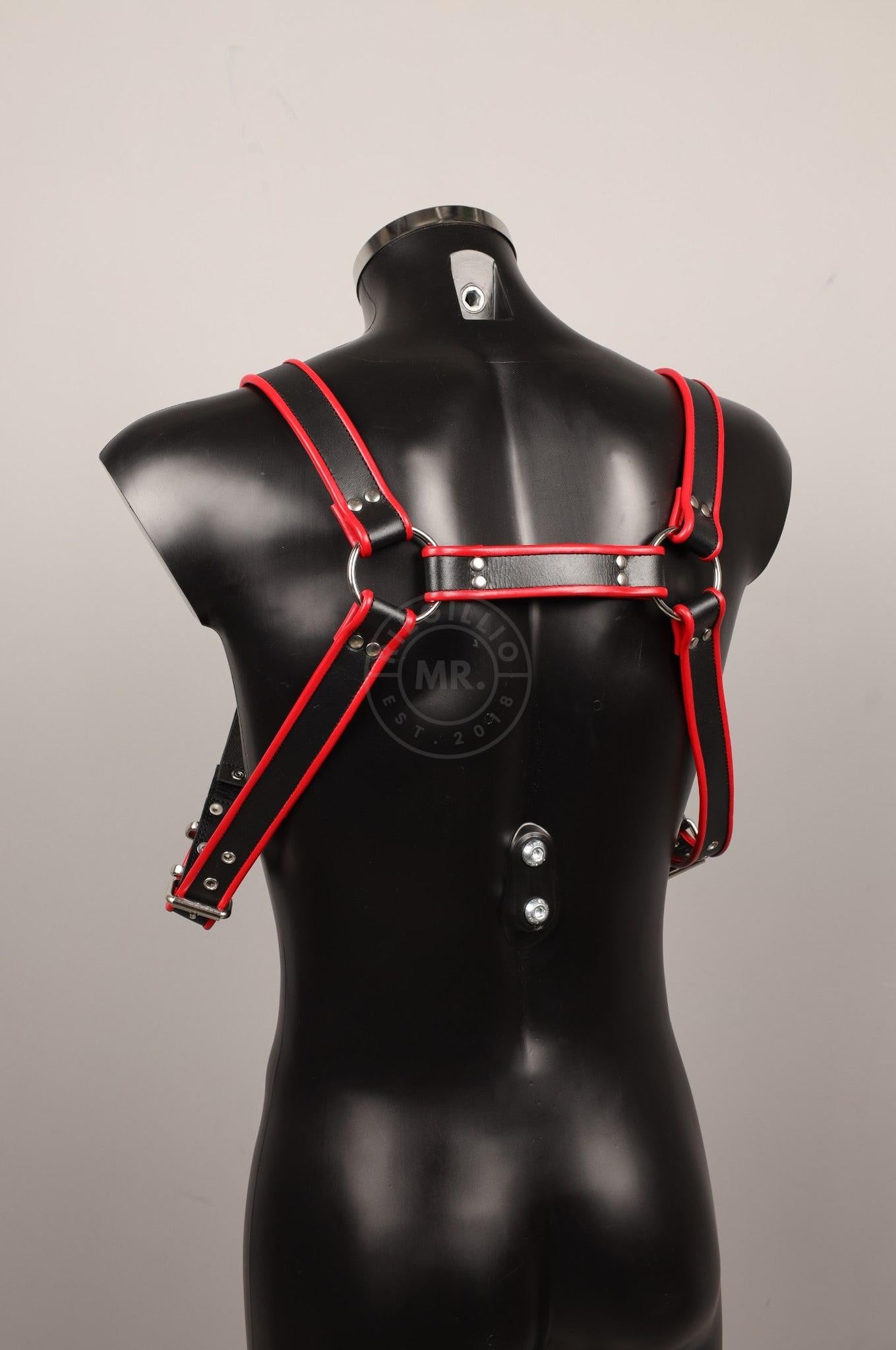 #390 Leather Harness at MR. Riegillio