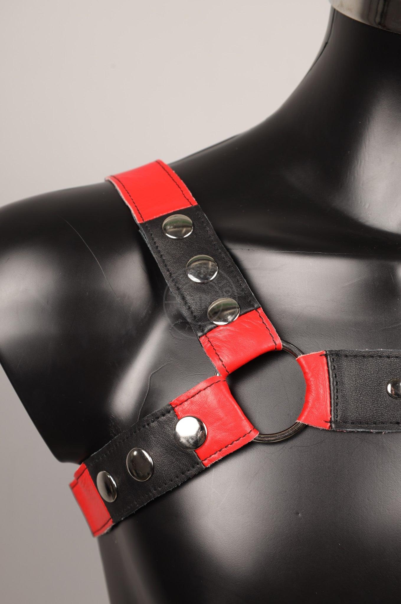 #401 Leather Harness at MR. Riegillio