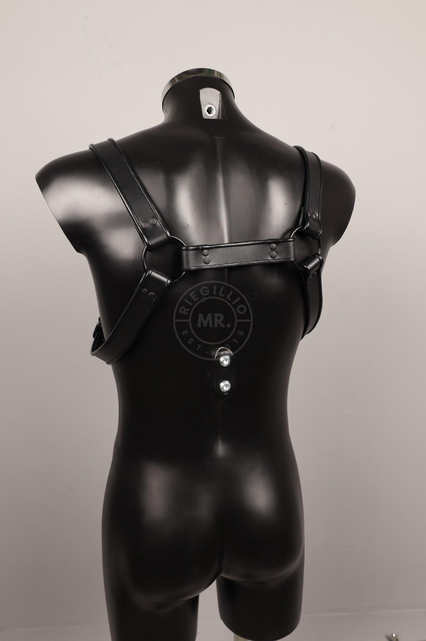 #433 Leather Harness at MR. Riegillio