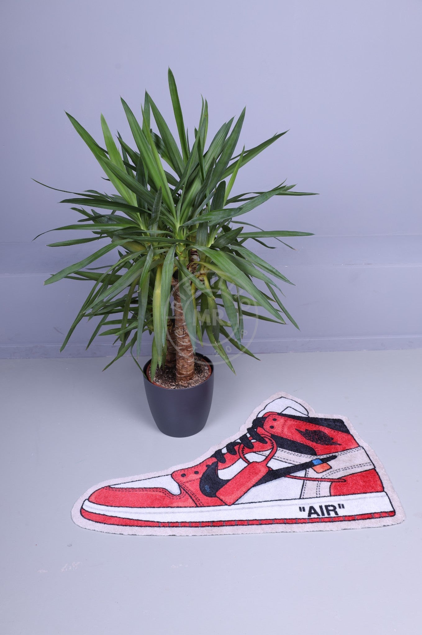 Rug - Jordan 1 Retro - Chicago at MR. Riegillio