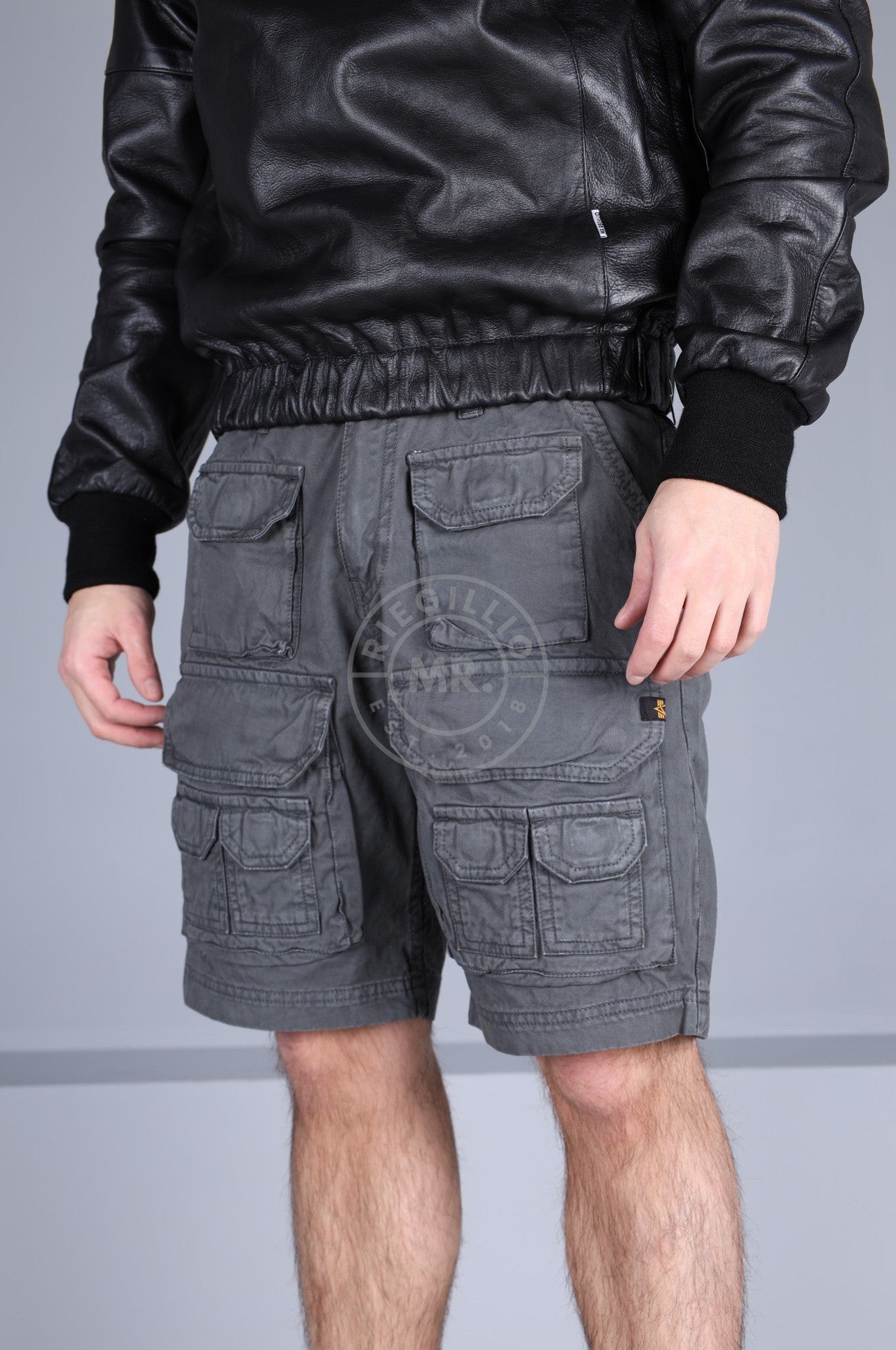 Alpha Industries Battle Short - Vintage Grey-at MR. Riegillio