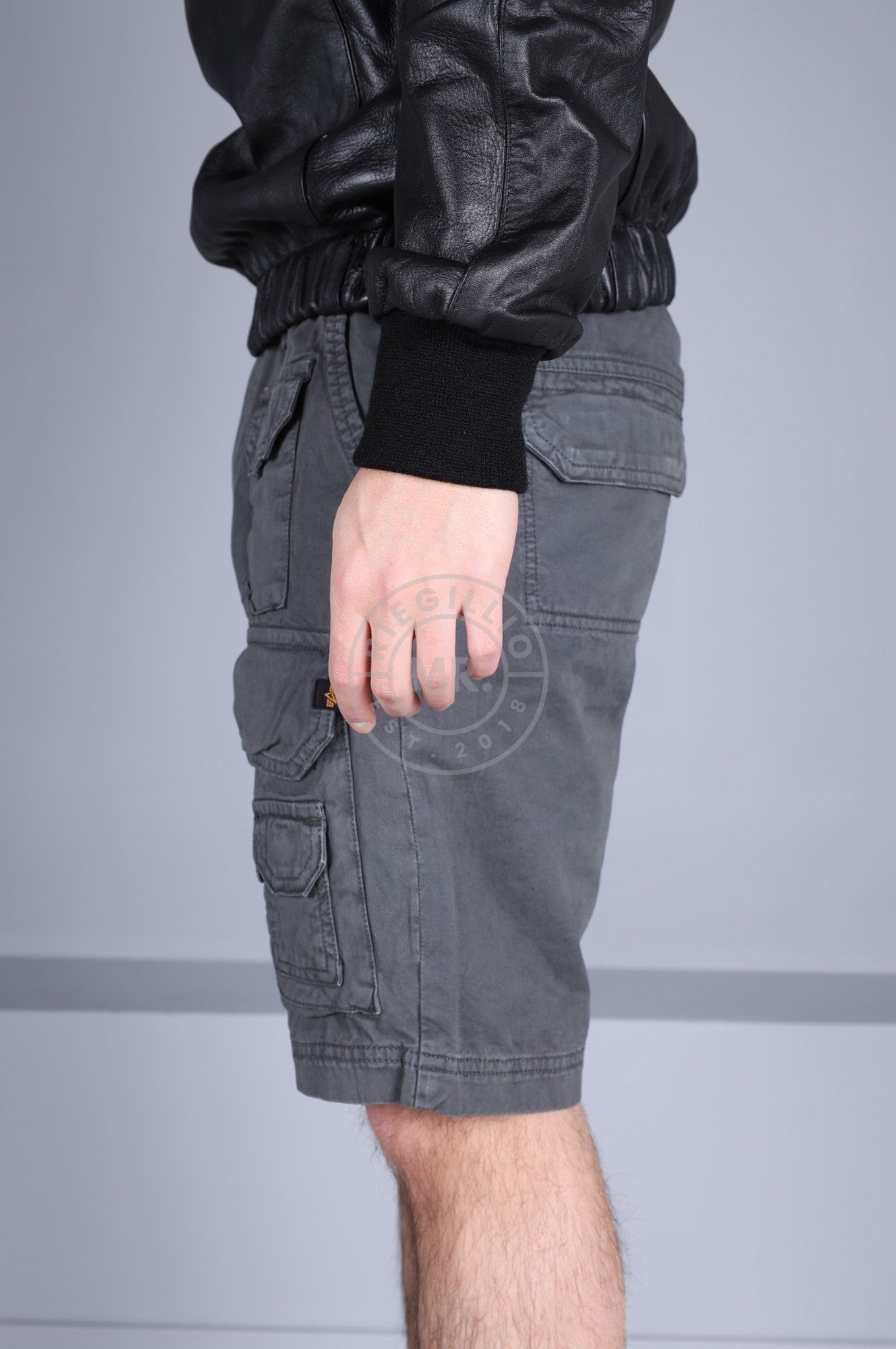 Alpha Industries Battle Short - Vintage Grey at MR. Riegillio