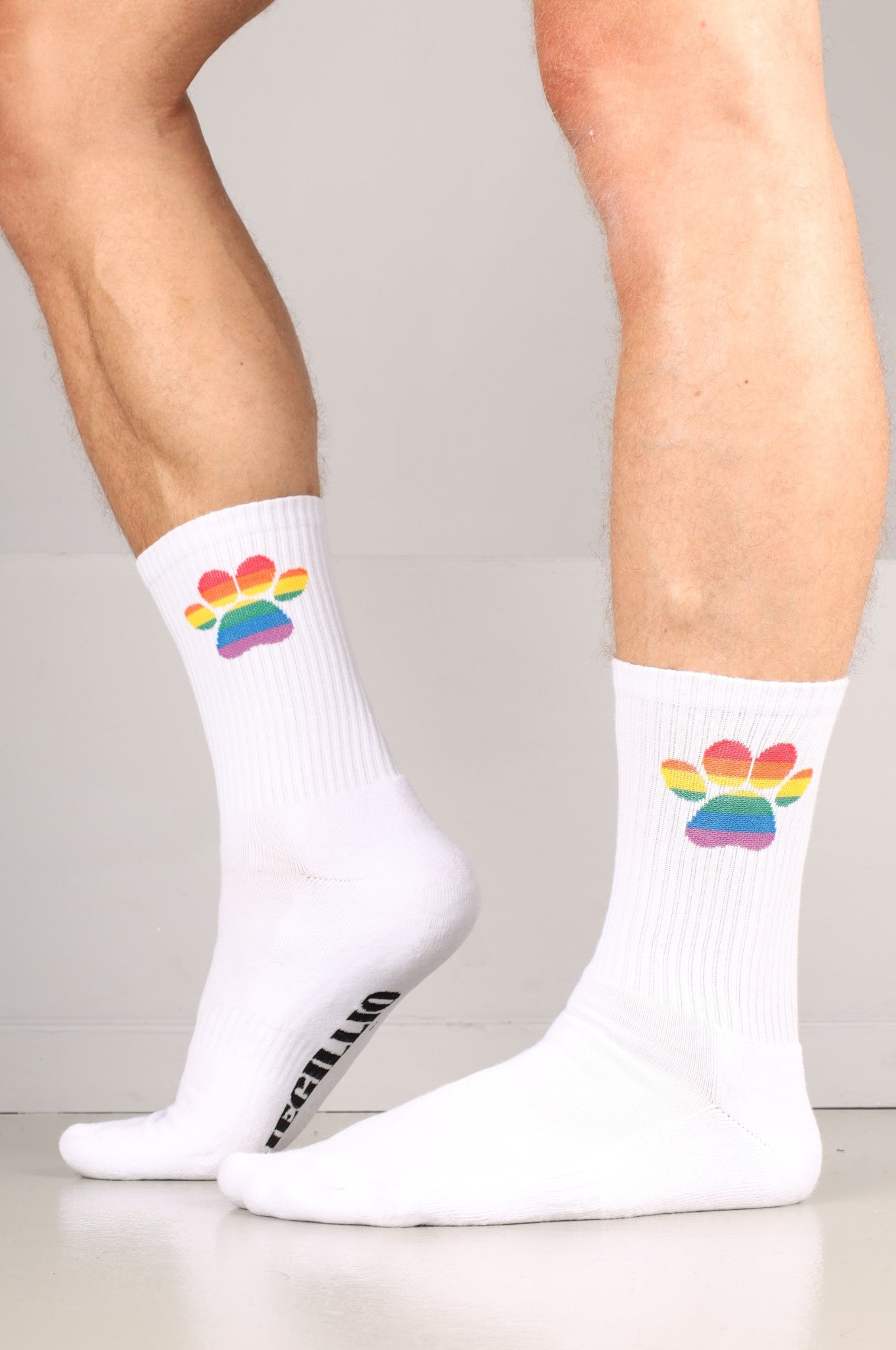 Pride Puppy Socks