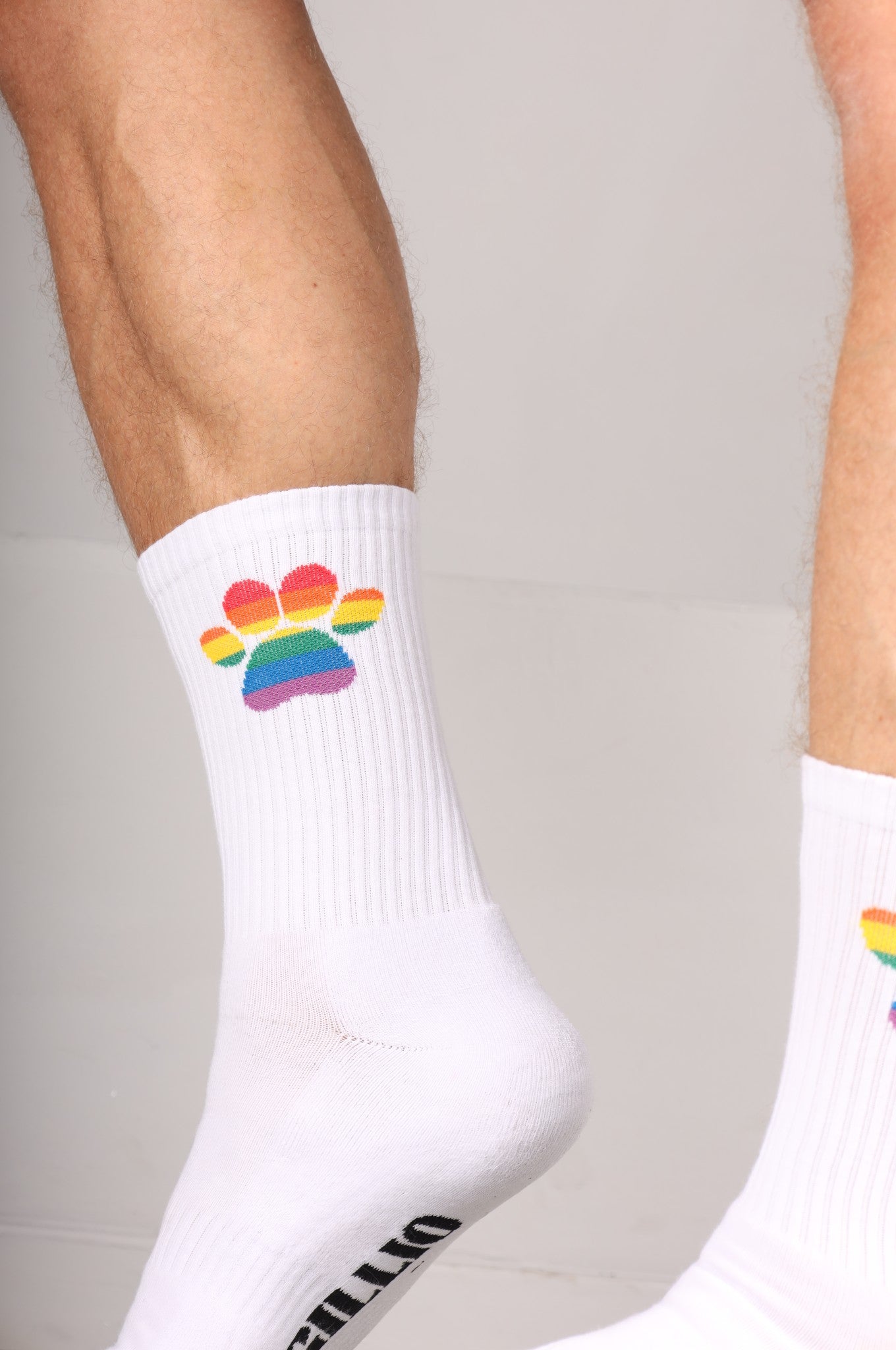 Pride Puppy Socks