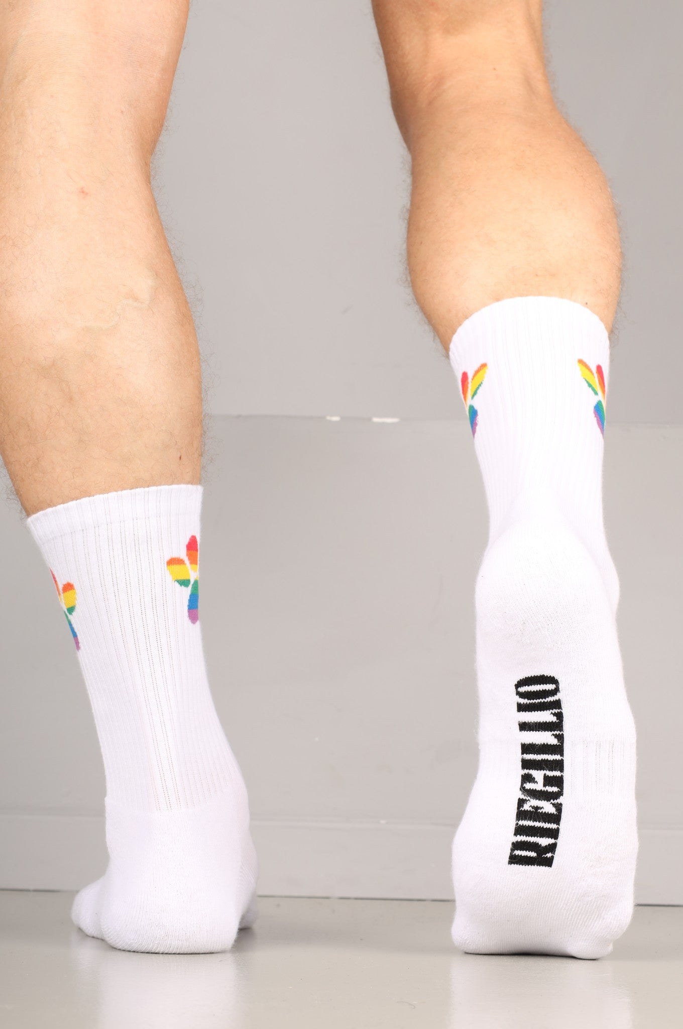 Pride Puppy Socks