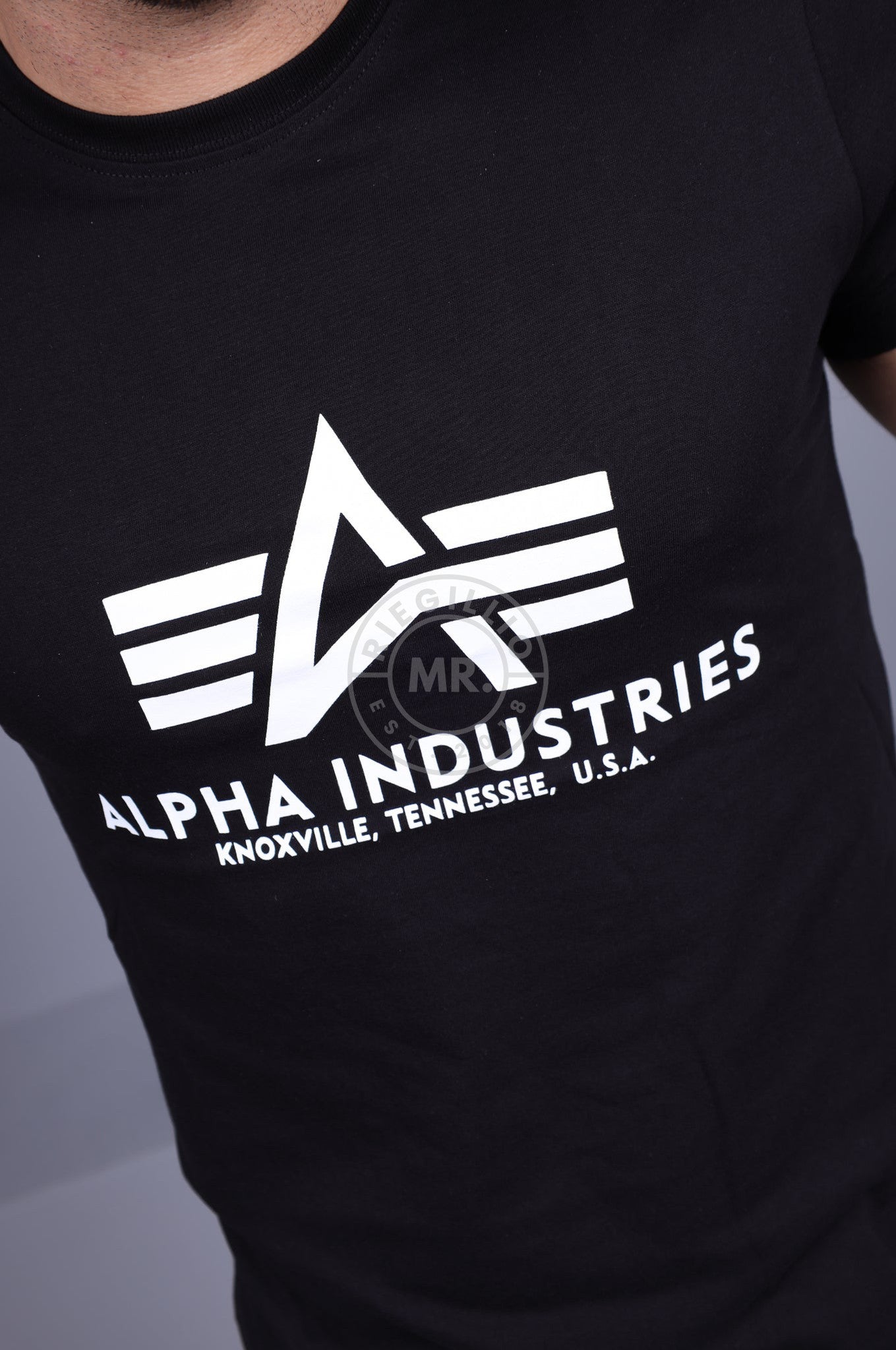 Alpha Industries Basic T-Shirt Black at MR. Riegillio