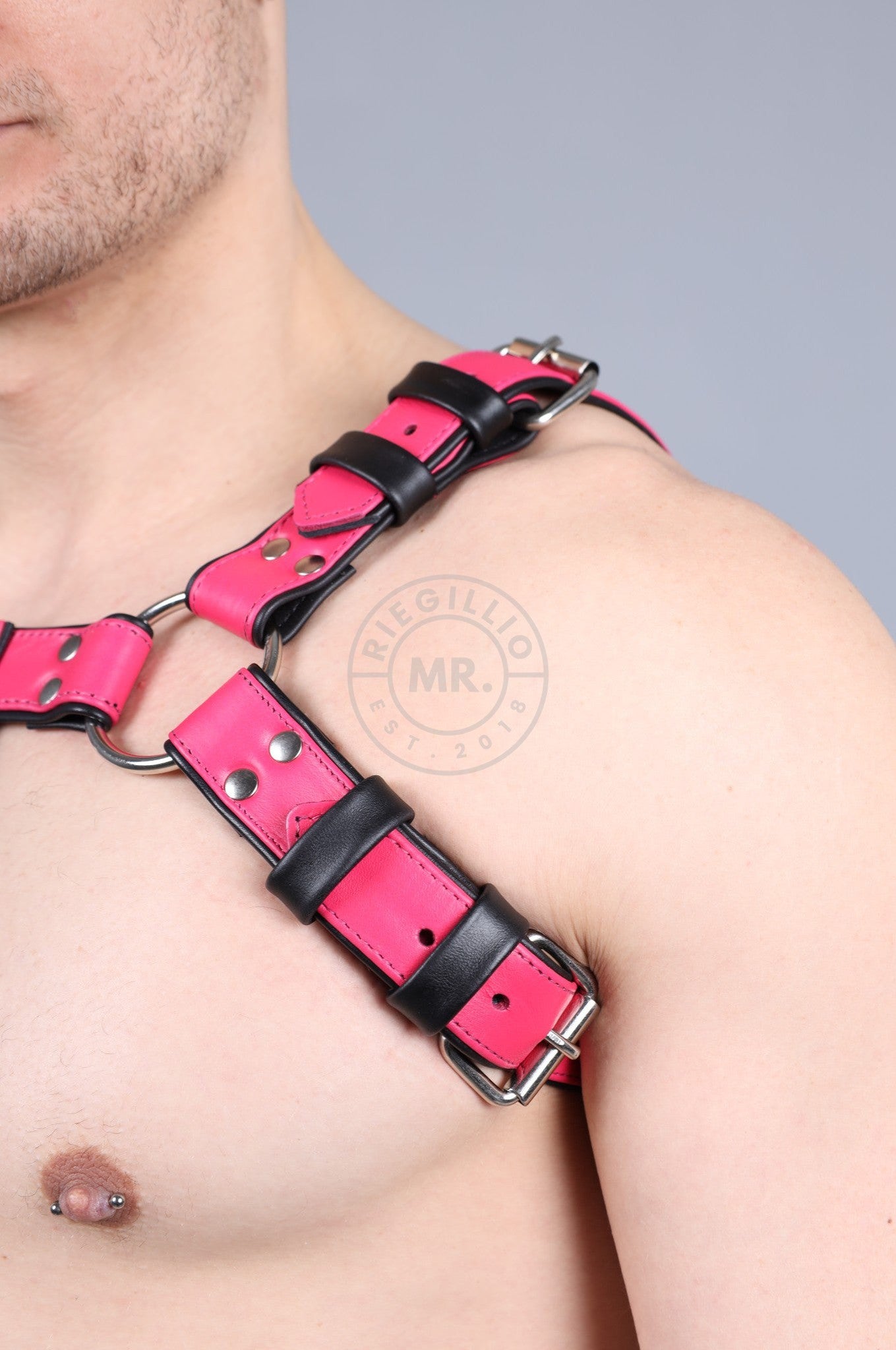 Leather Harness - Pink at MR. Riegillio