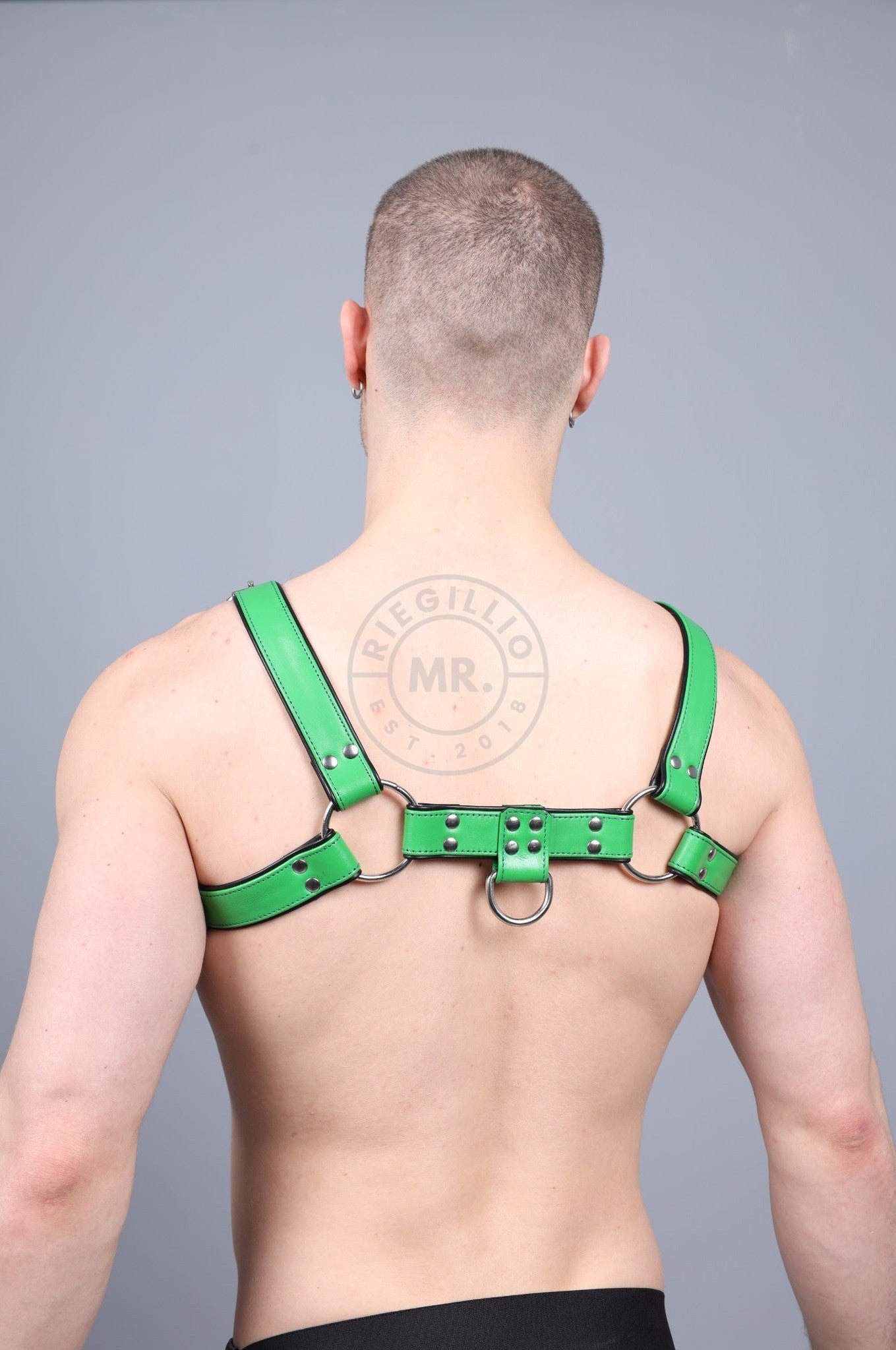 Leather Harness - Parrot Green at MR. Riegillio