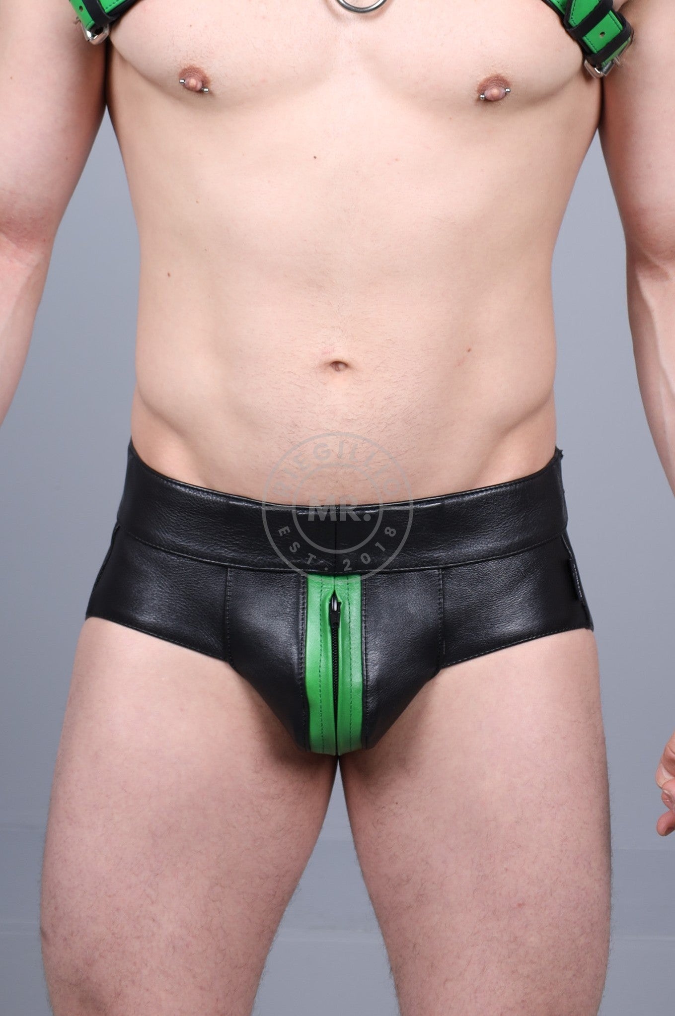 Power Leather Jockstrap - Parrot Green Stripe at MR. Riegillio