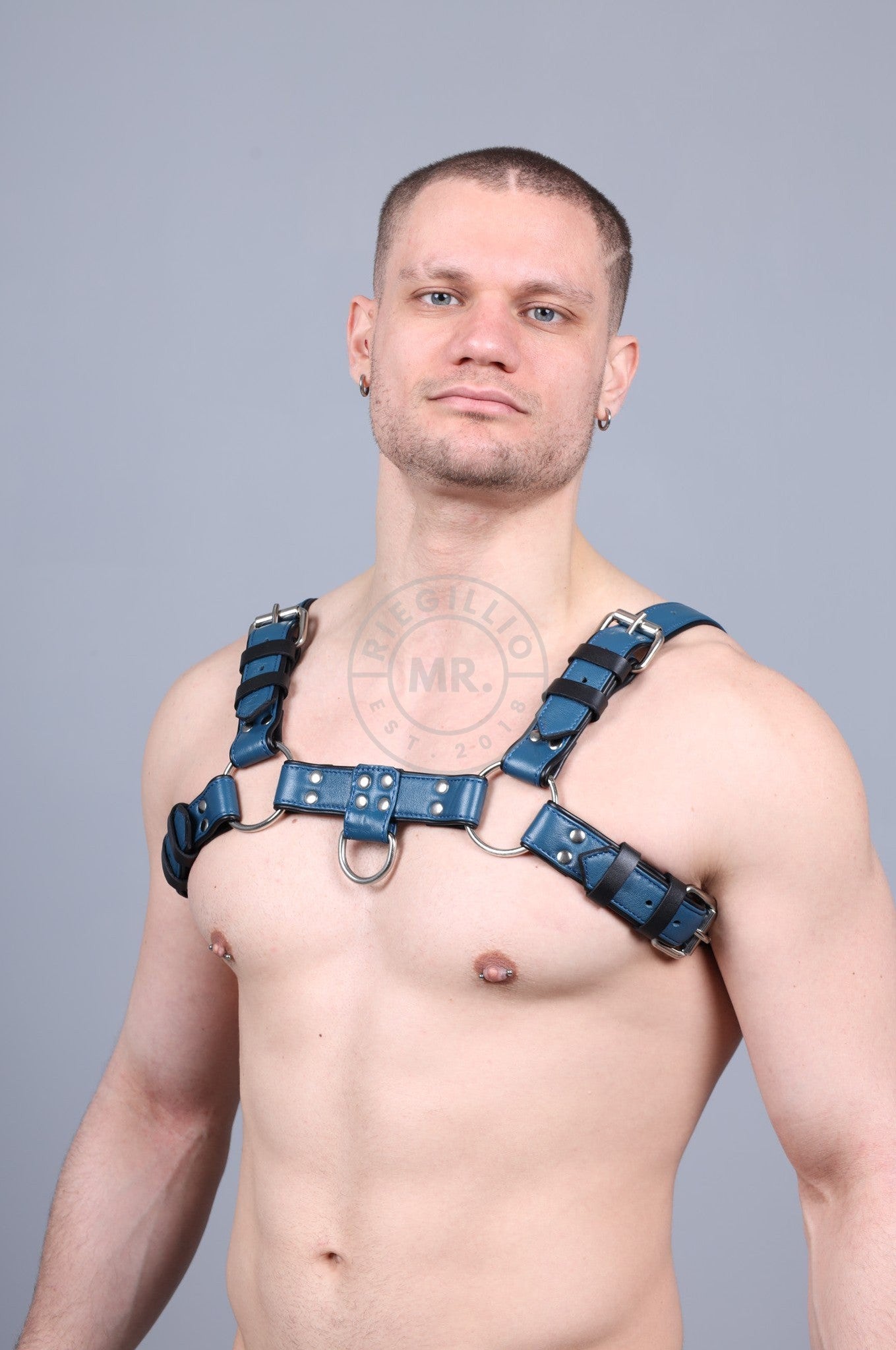 Leather Harness - Jeans Blue at MR. Riegillio