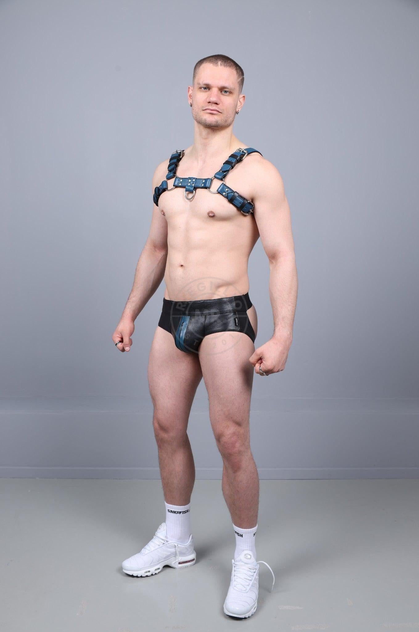 Leather Harness - Jeans Blue at MR. Riegillio