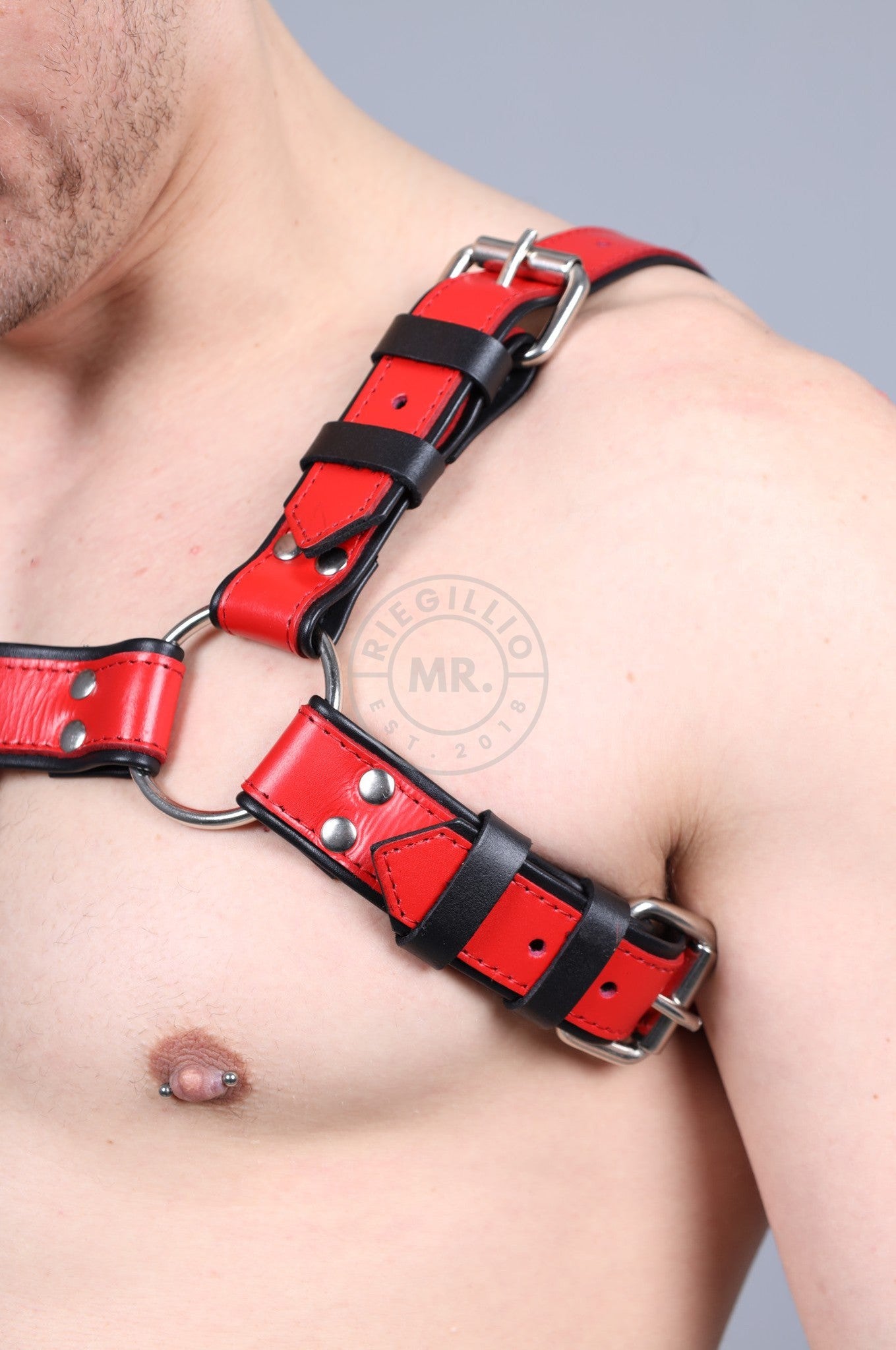 Leather Harness - Red at MR. Riegillio