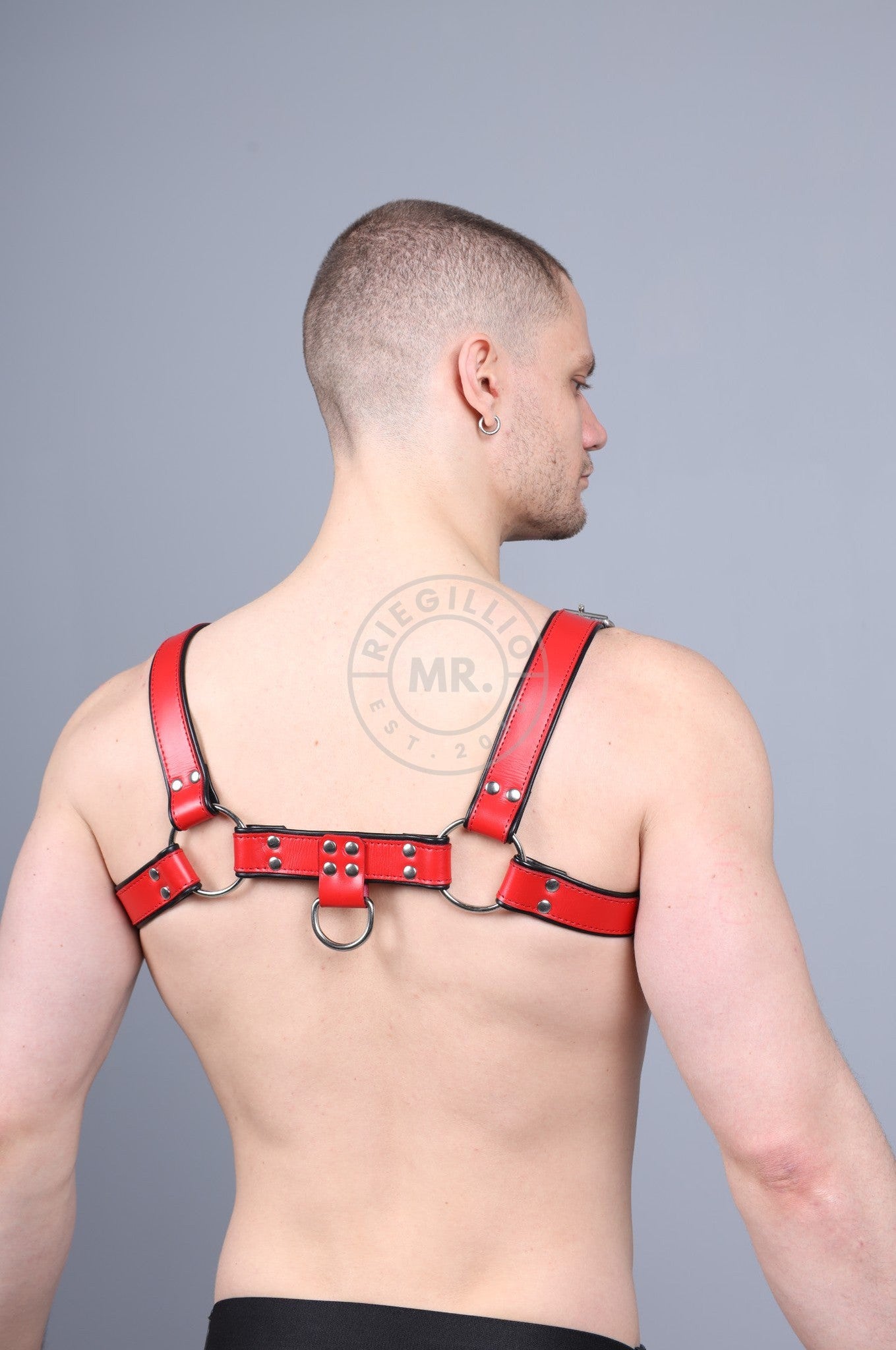 Leather Harness - Red at MR. Riegillio