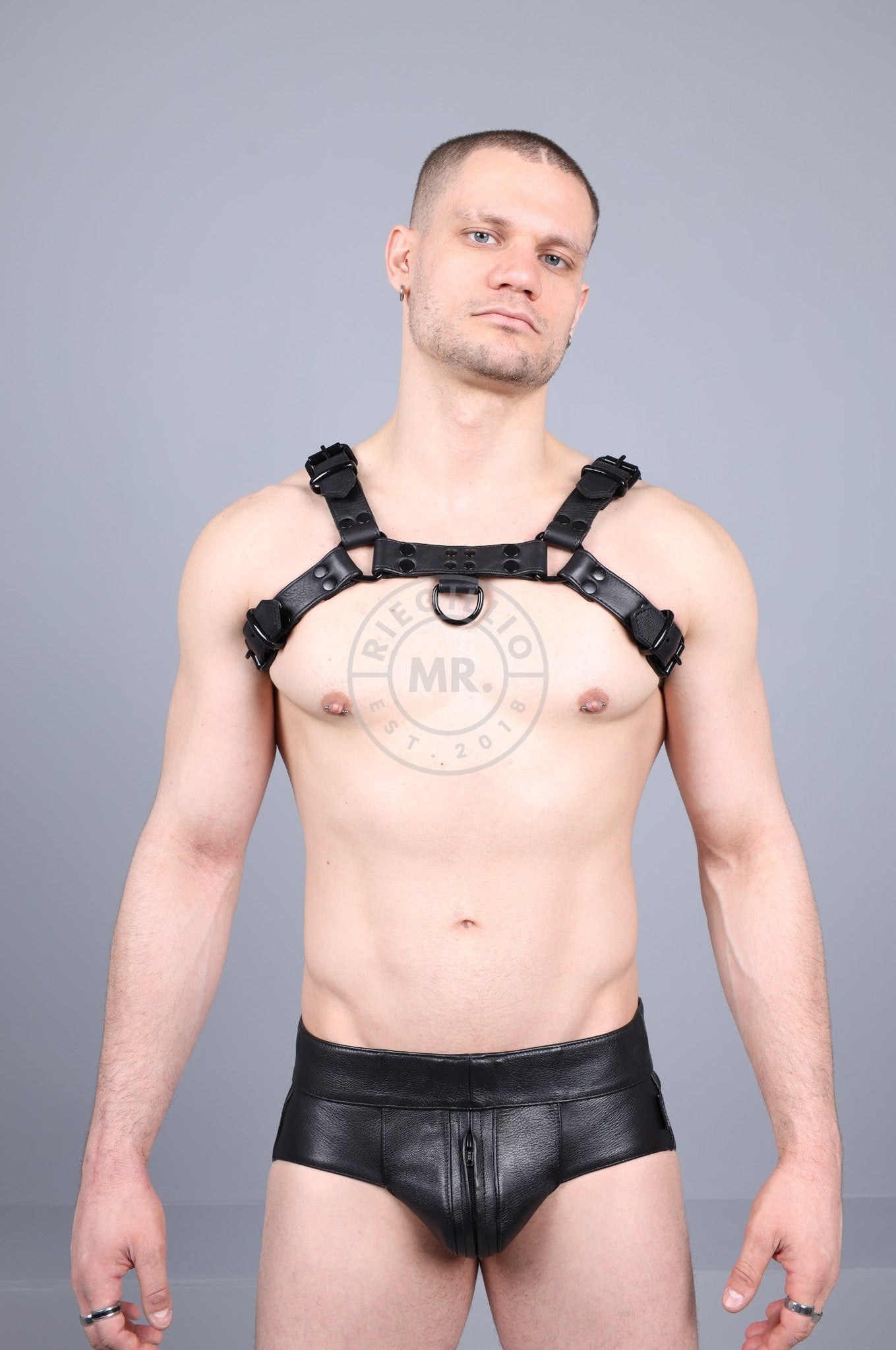 Leather Harness - Full Black at MR. Riegillio
