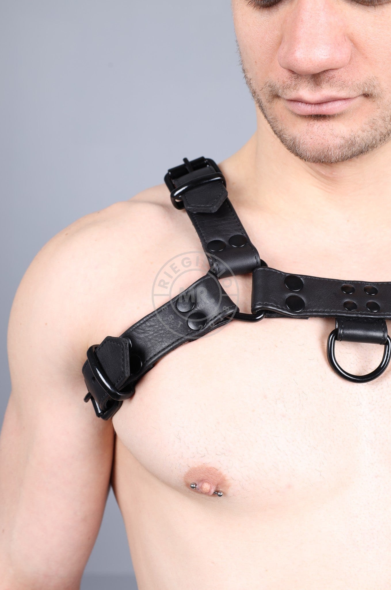 Leather Harness - Full Black at MR. Riegillio