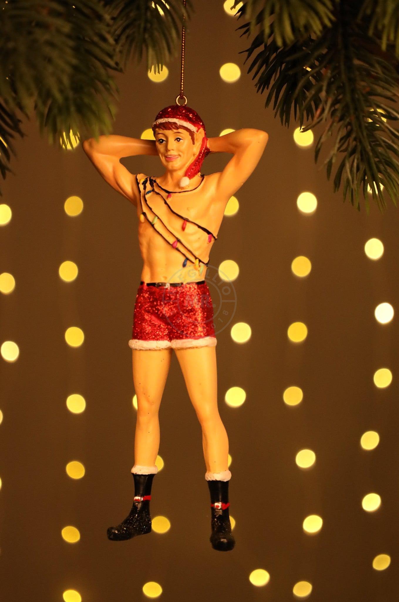 Inappropriate Elves - TWINKLE at MR. Riegillio