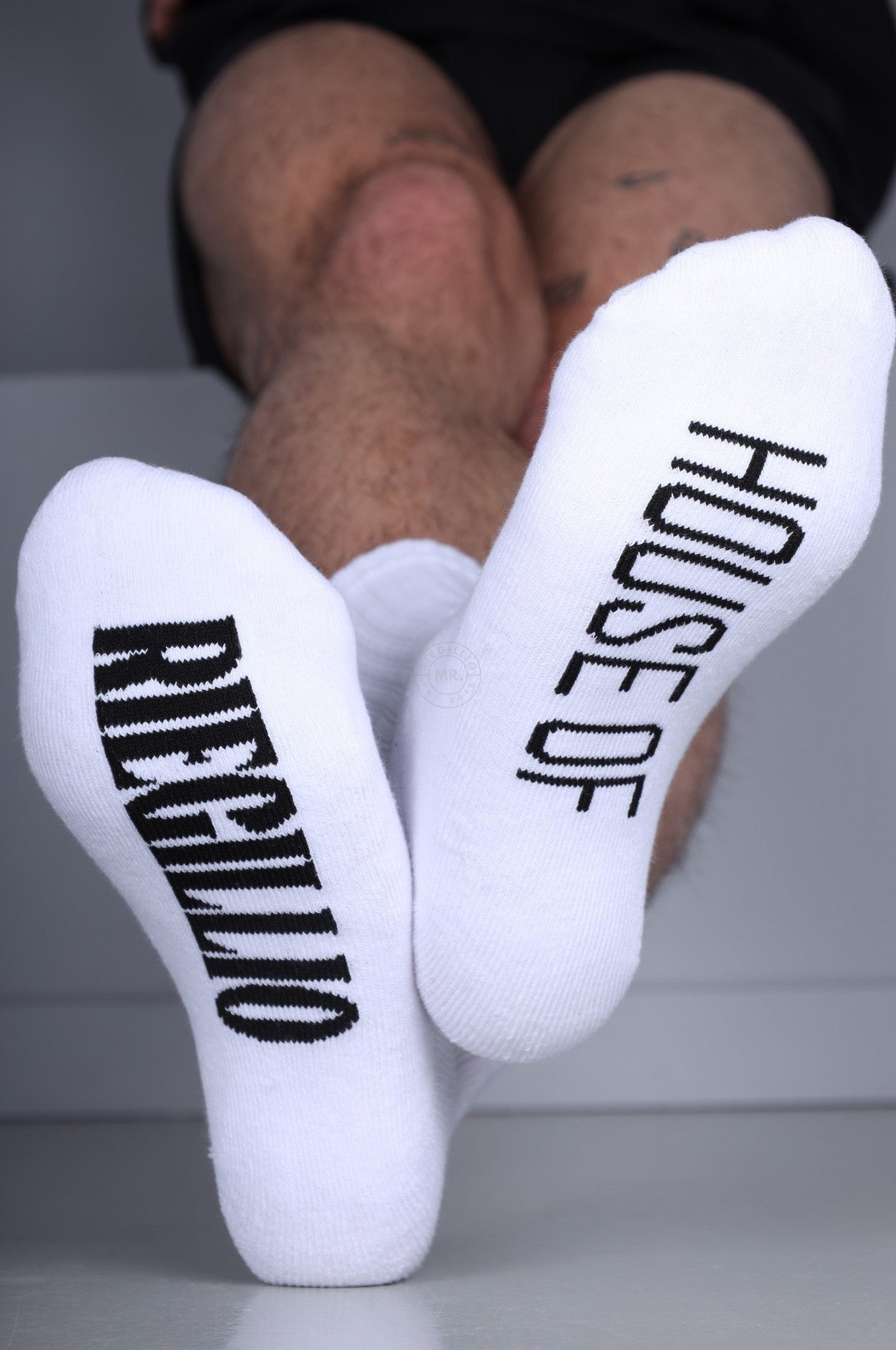 House of Riegillio Pride Socks at MR. Riegillio