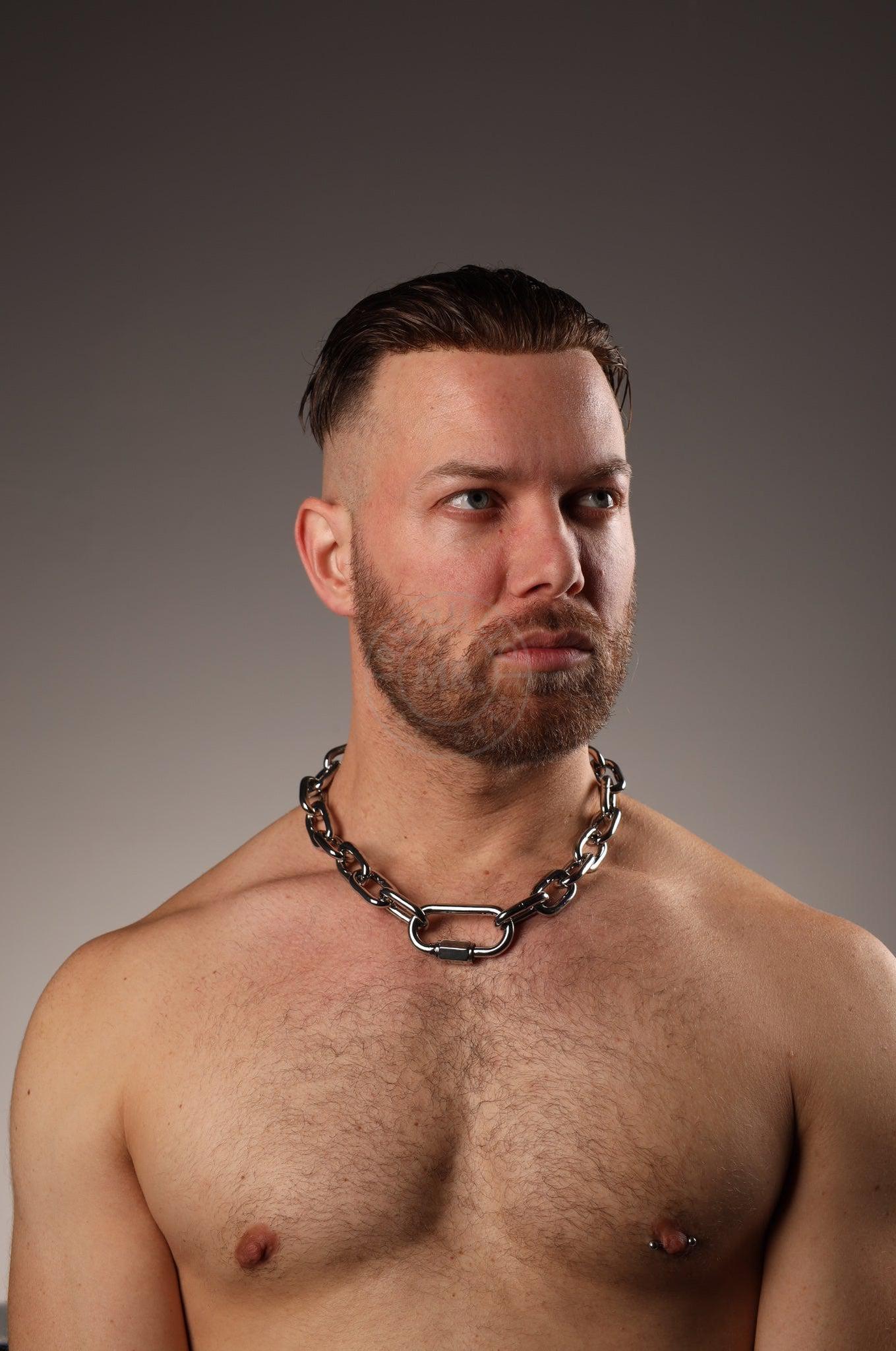 SIRAINER Chain Collar - Silver at MR. Riegillio