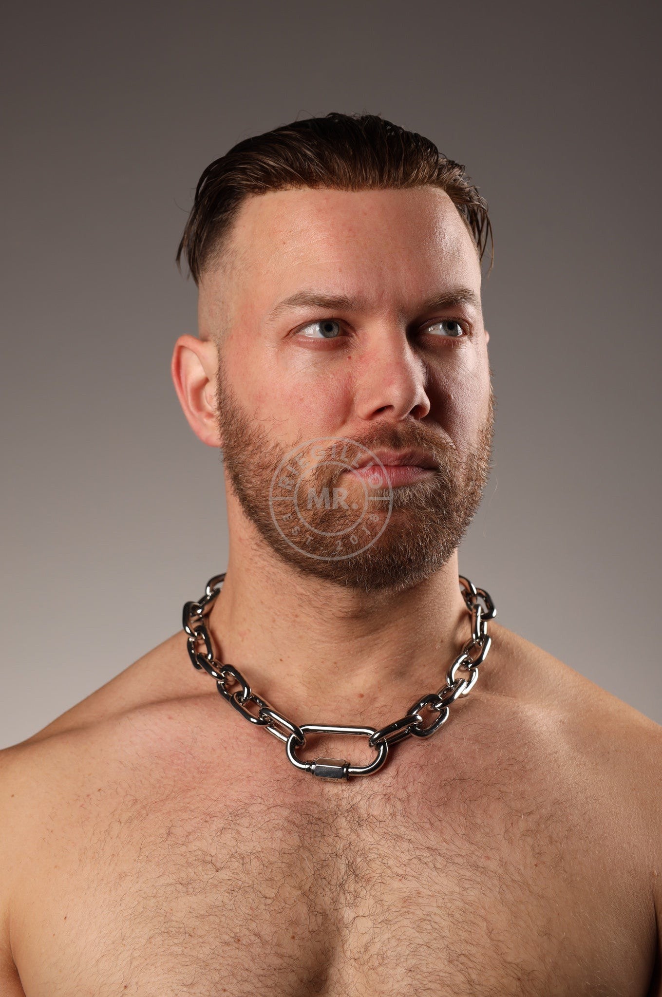 SIRAINER Chain Collar - Silver at MR. Riegillio