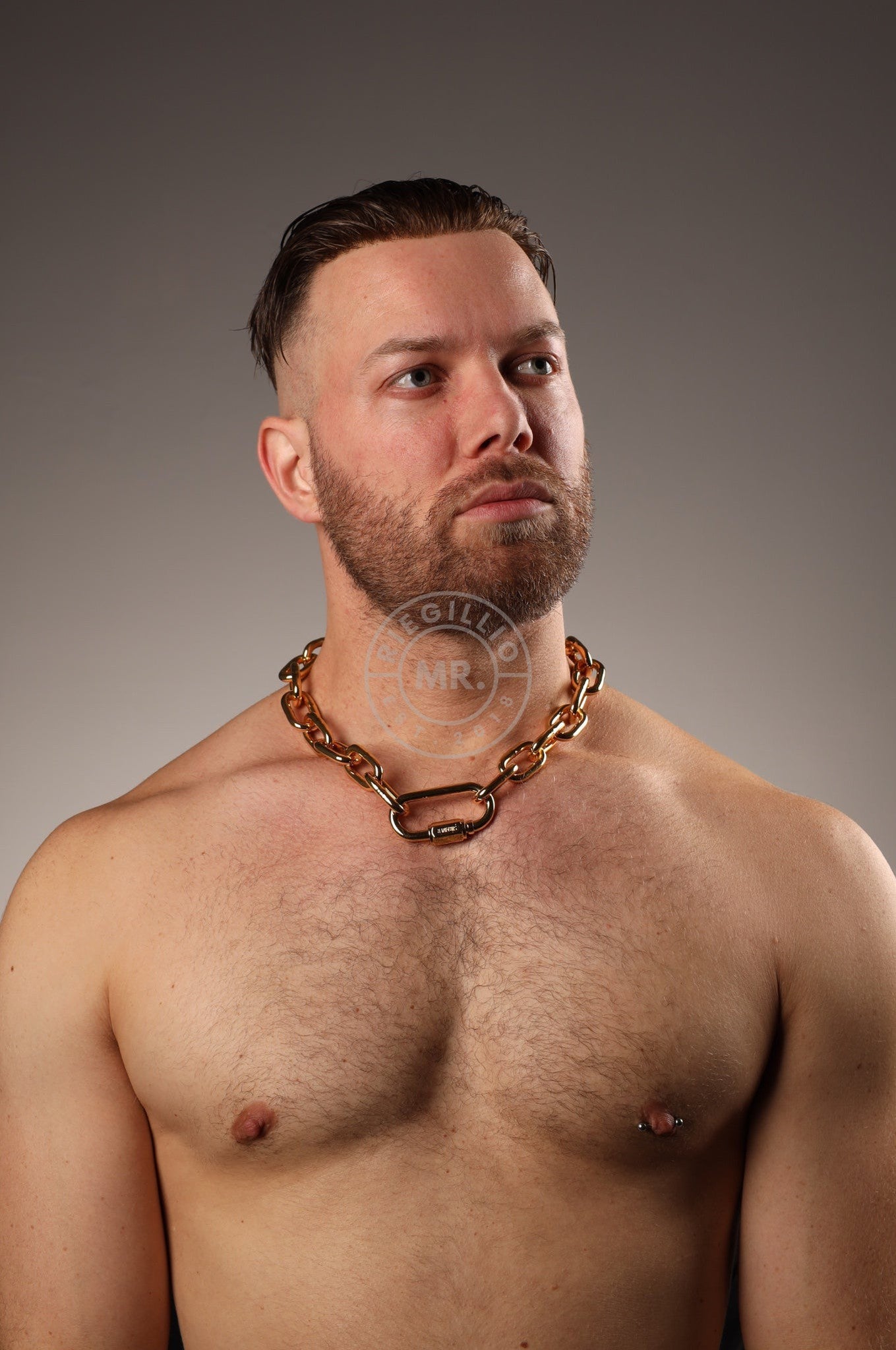 SIRAINER Chain Collar - Gold at MR. Riegillio