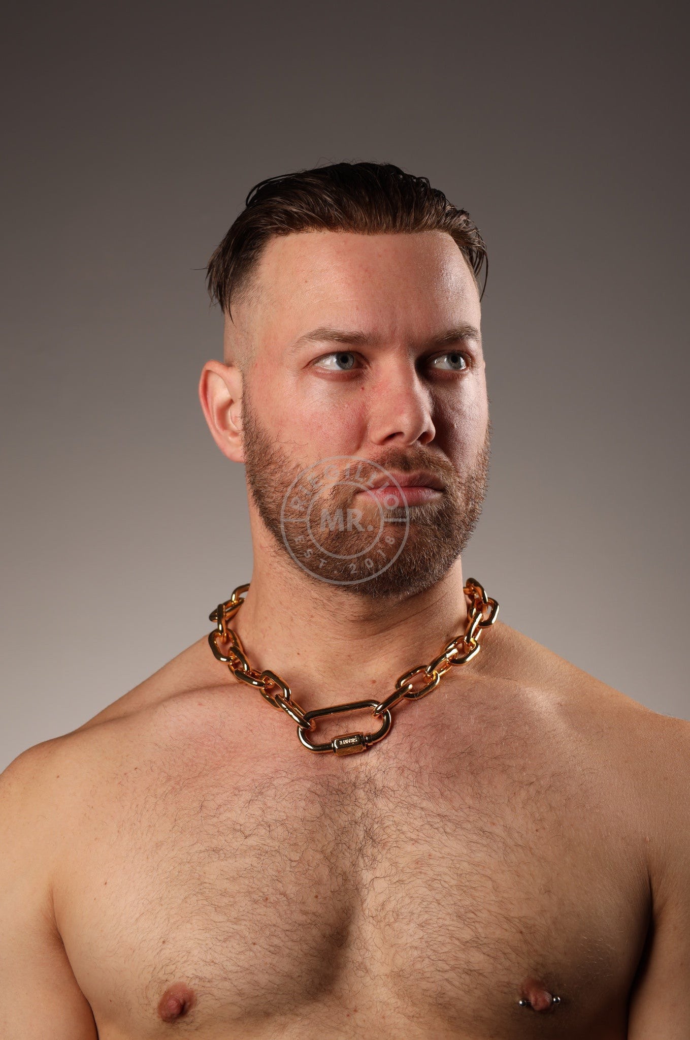 SIRAINER Chain Collar - Gold at MR. Riegillio