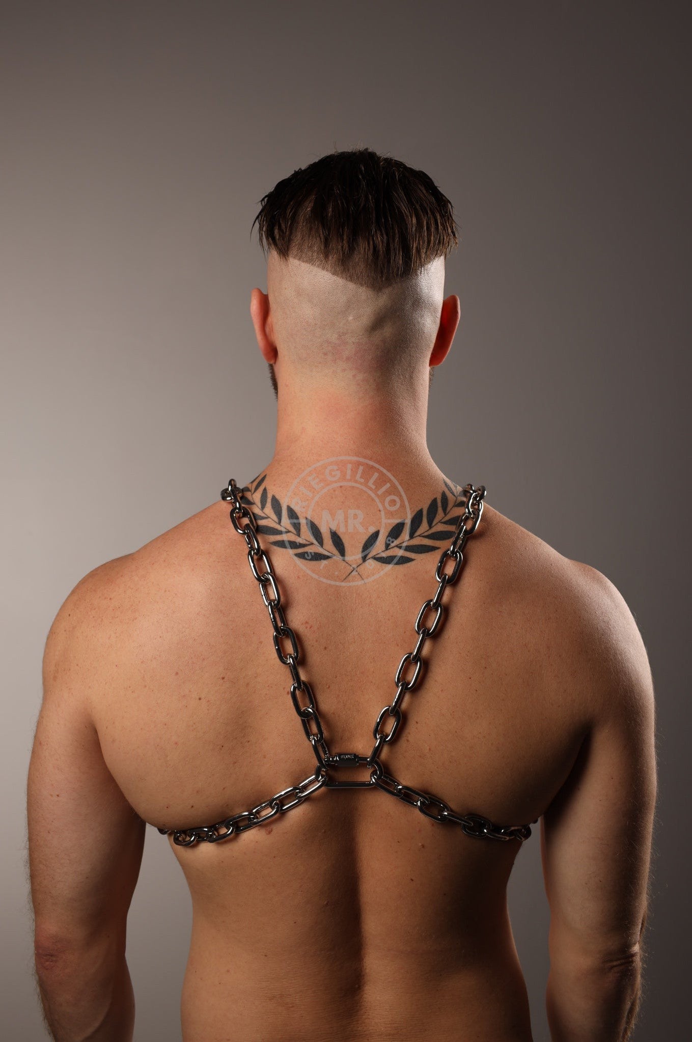 SIRAINER Chain X-Harness - Silver at MR. Riegillio