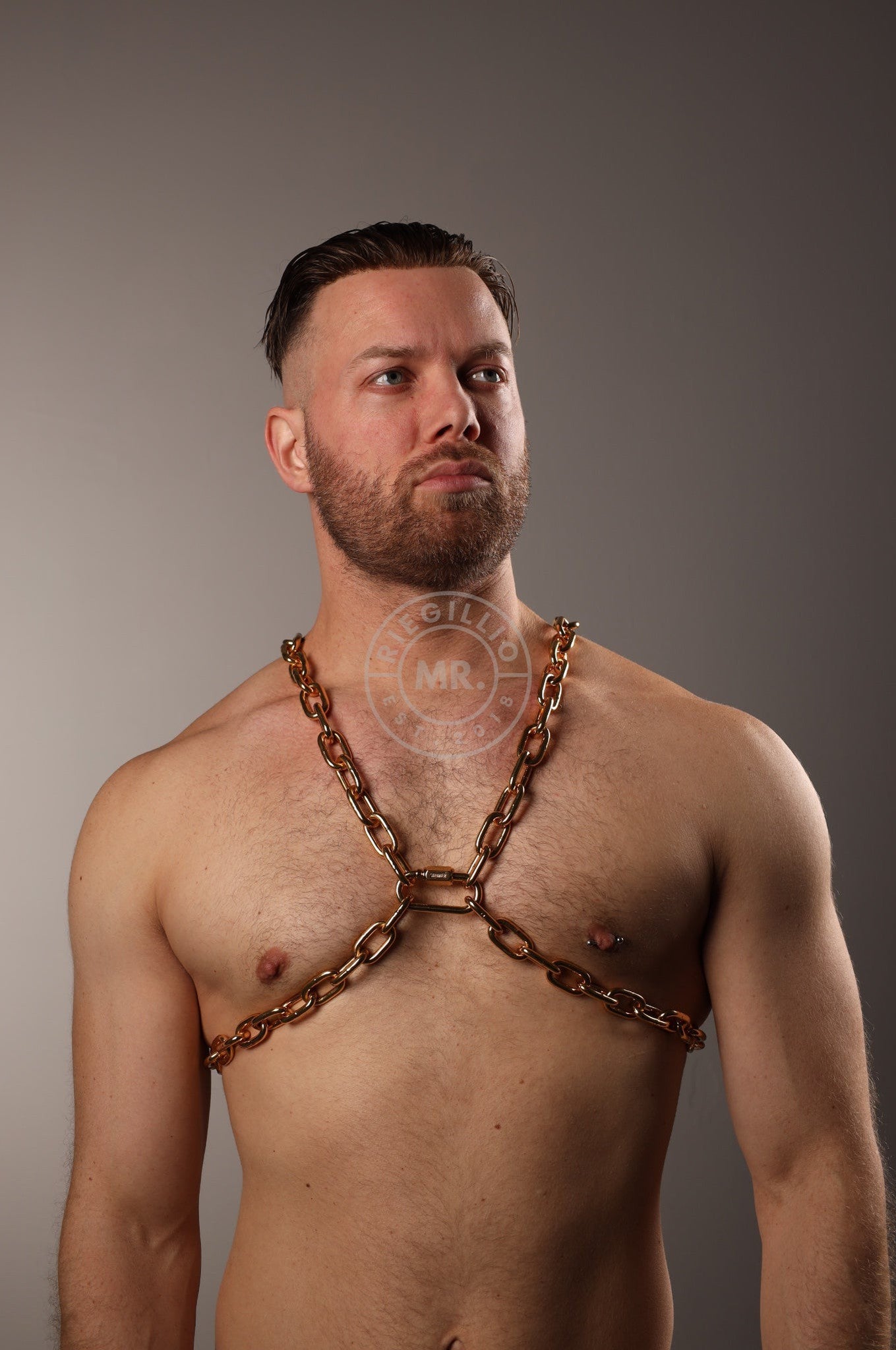 SIRAINER Chain X-Harness - Gold at MR. Riegillio