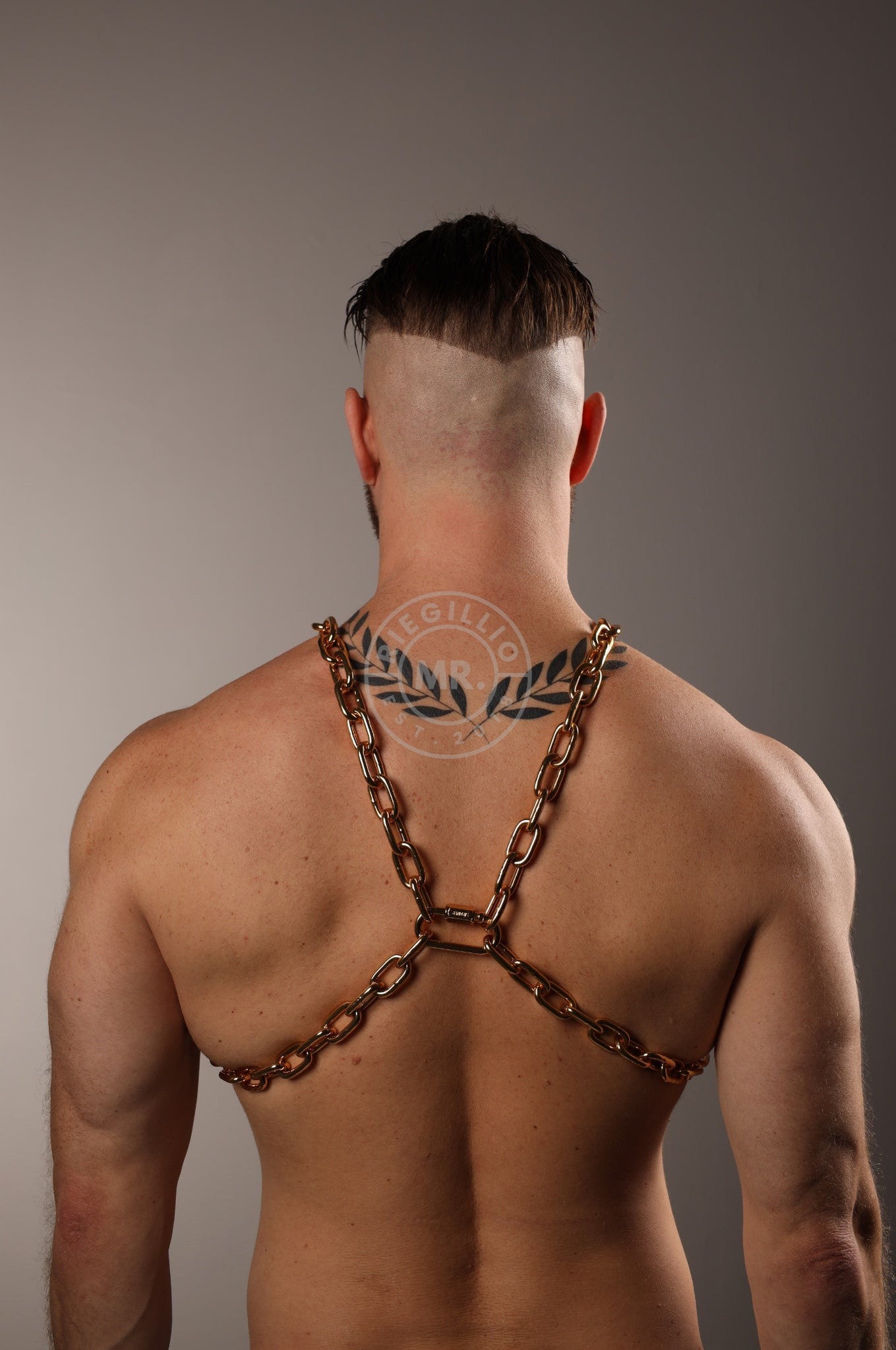 SIRAINER Chain X-Harness - Gold at MR. Riegillio