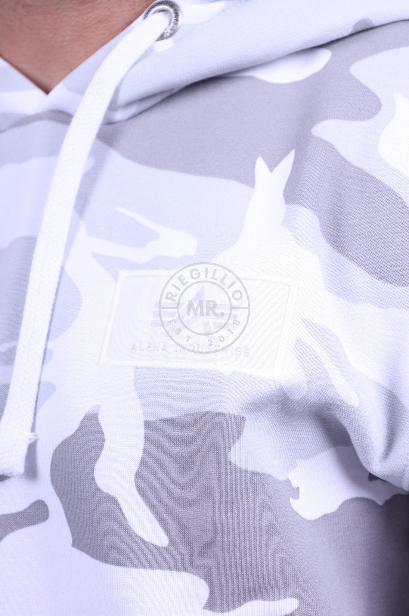 Alpha Industries Back Print Hoody Camo at MR. Riegillio