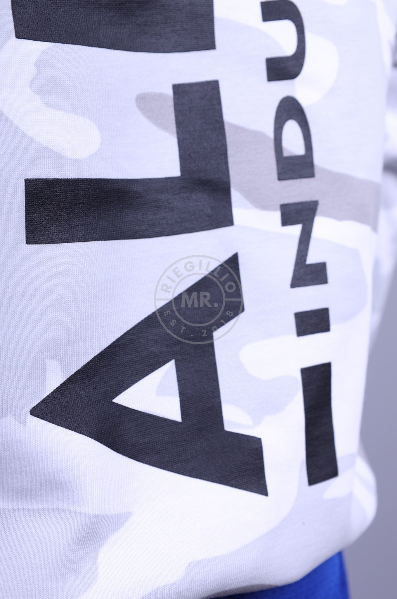Alpha Industries Back Print Hoody Camo at MR. Riegillio