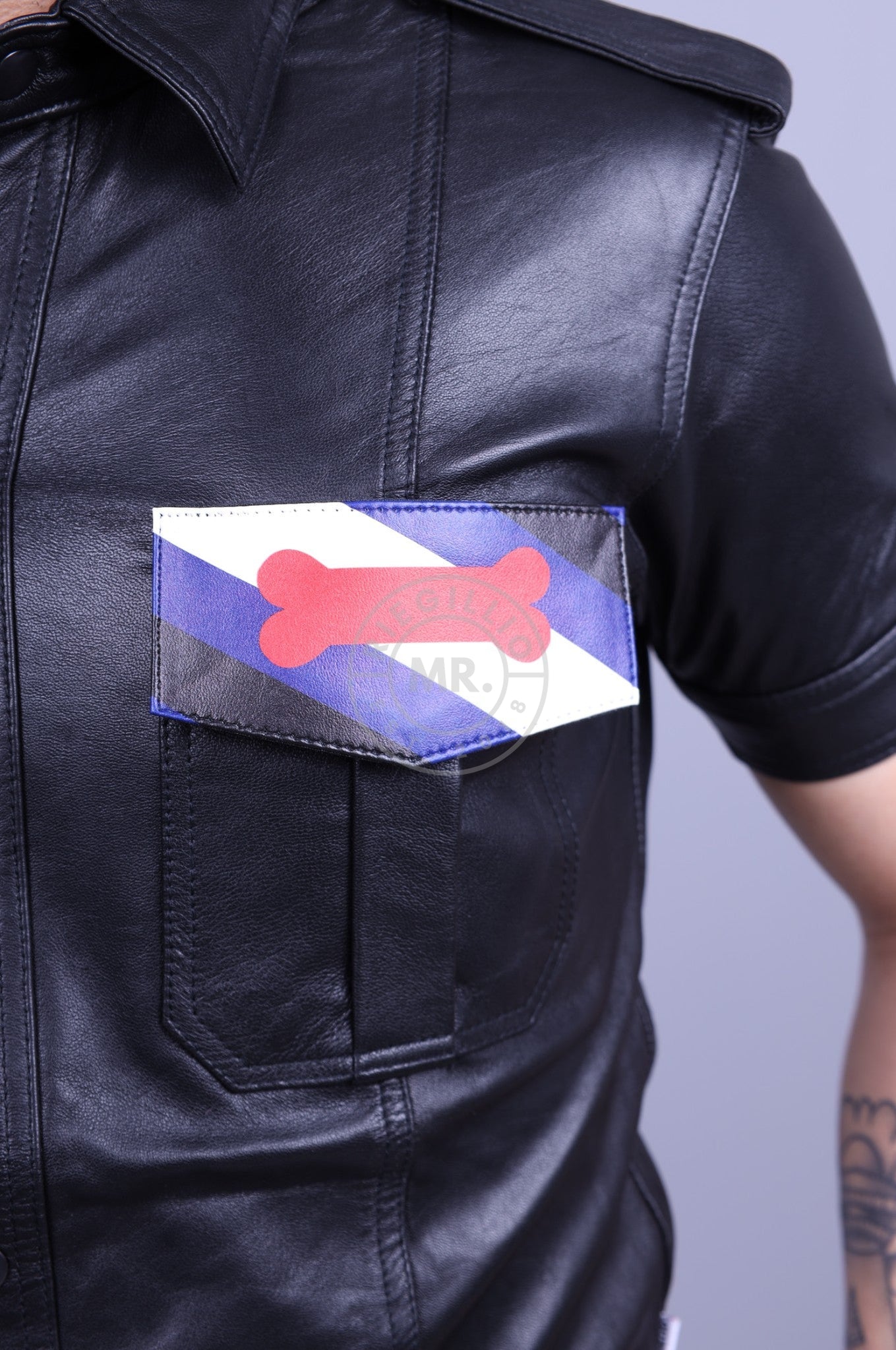 Velcro Patch - Puppy Flag at MR. Riegillio