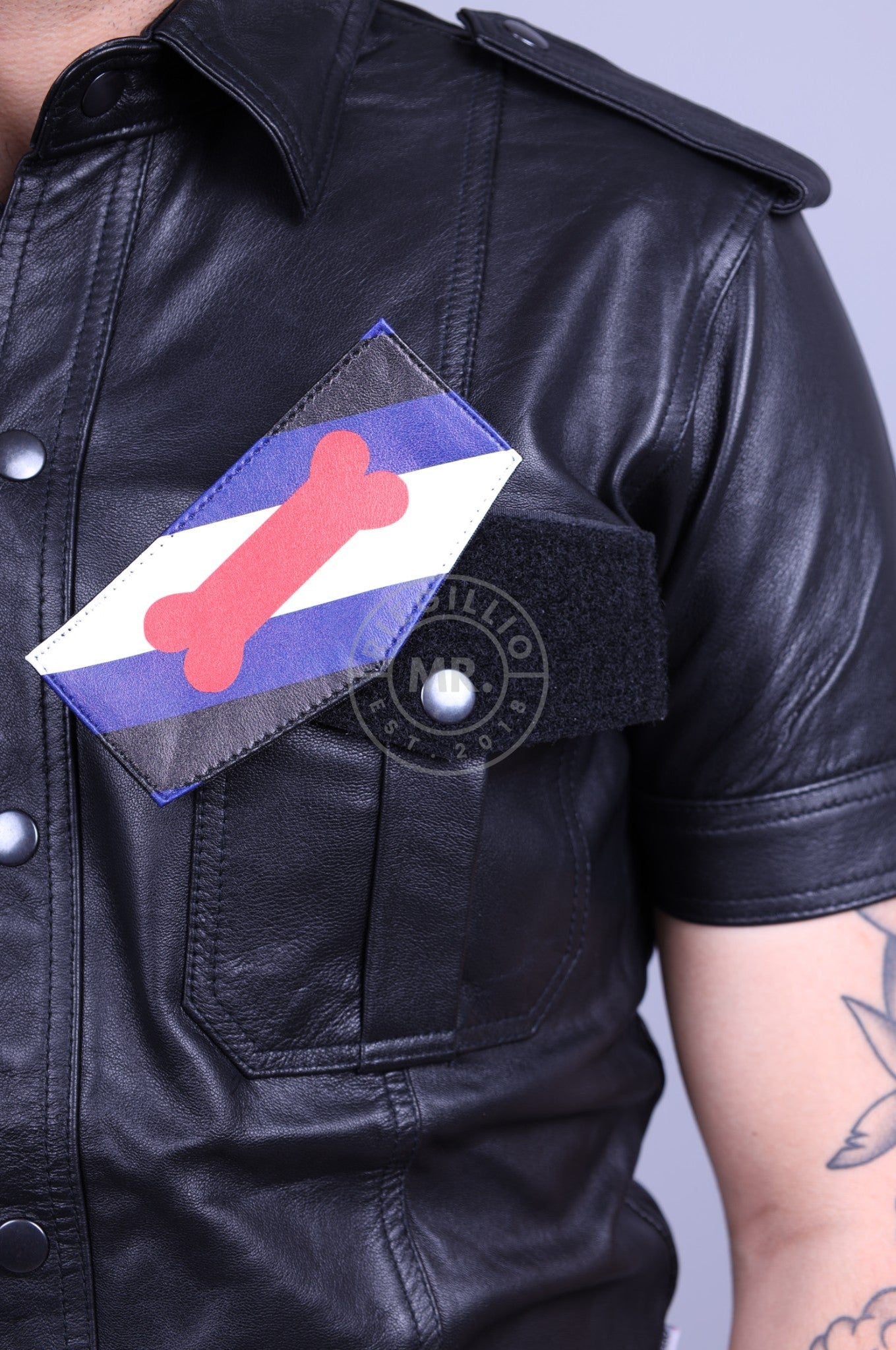 Velcro Patch - Puppy Flag at MR. Riegillio