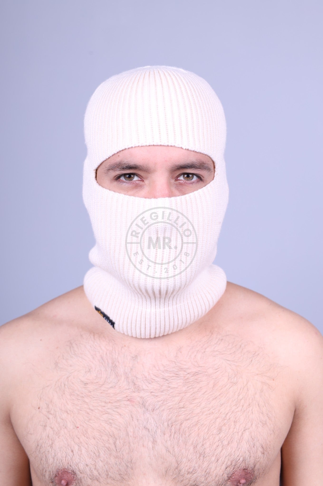 Alpha Industries Label Balaclava - Jet Stream White-at MR. Riegillio