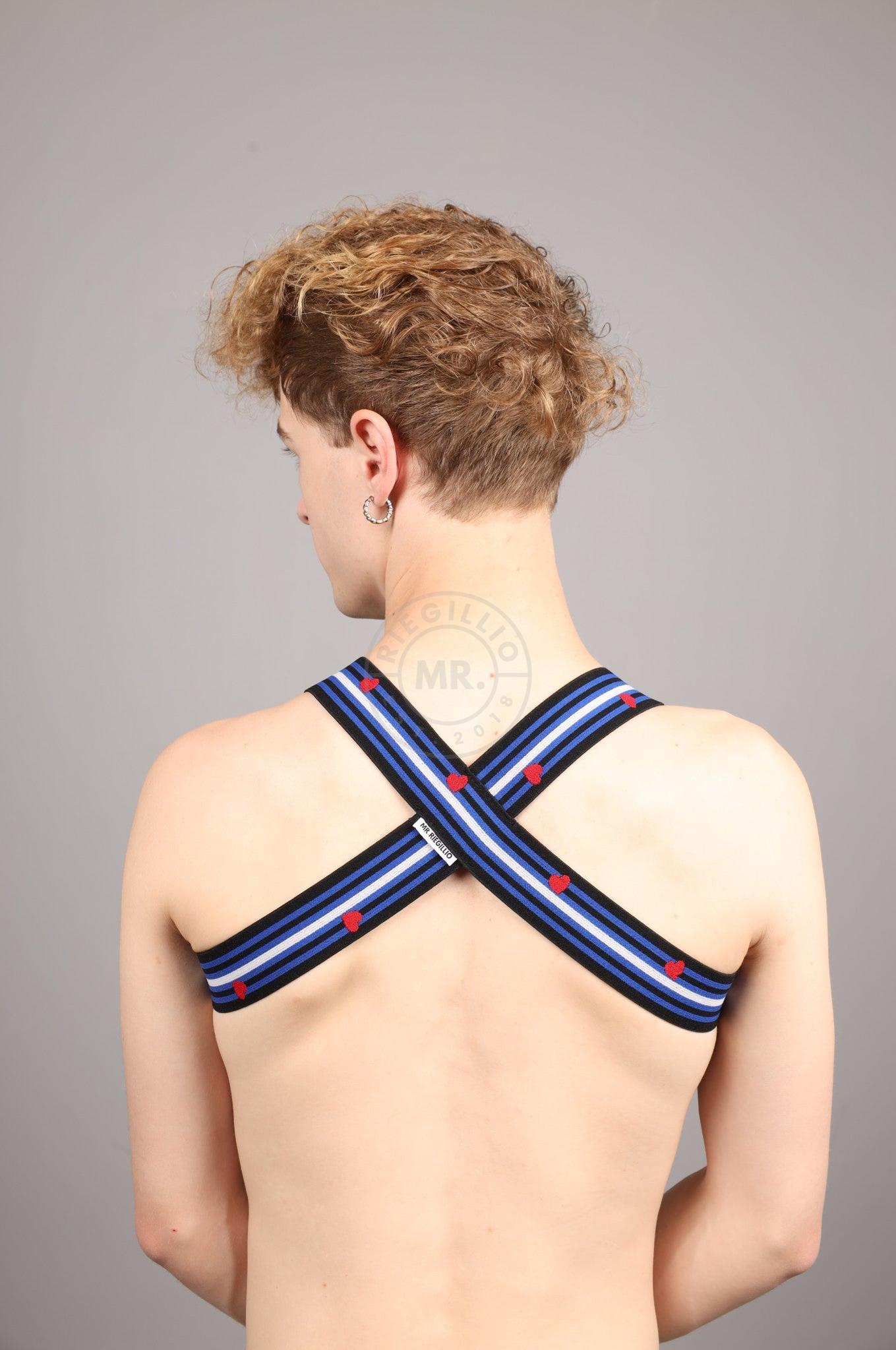 Elastic Harness - LEATHER Flag at MR. Riegillio