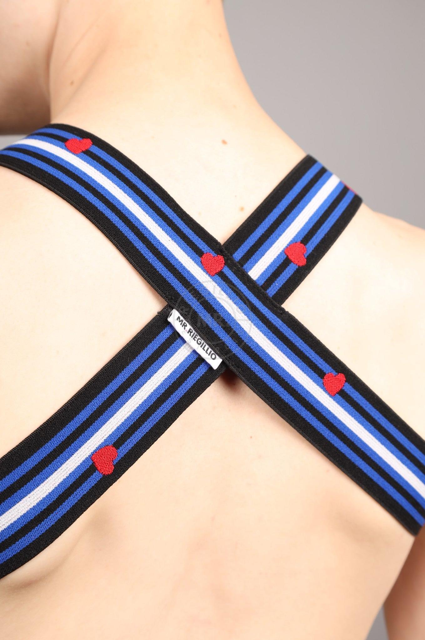 Elastic Harness - LEATHER Flag at MR. Riegillio