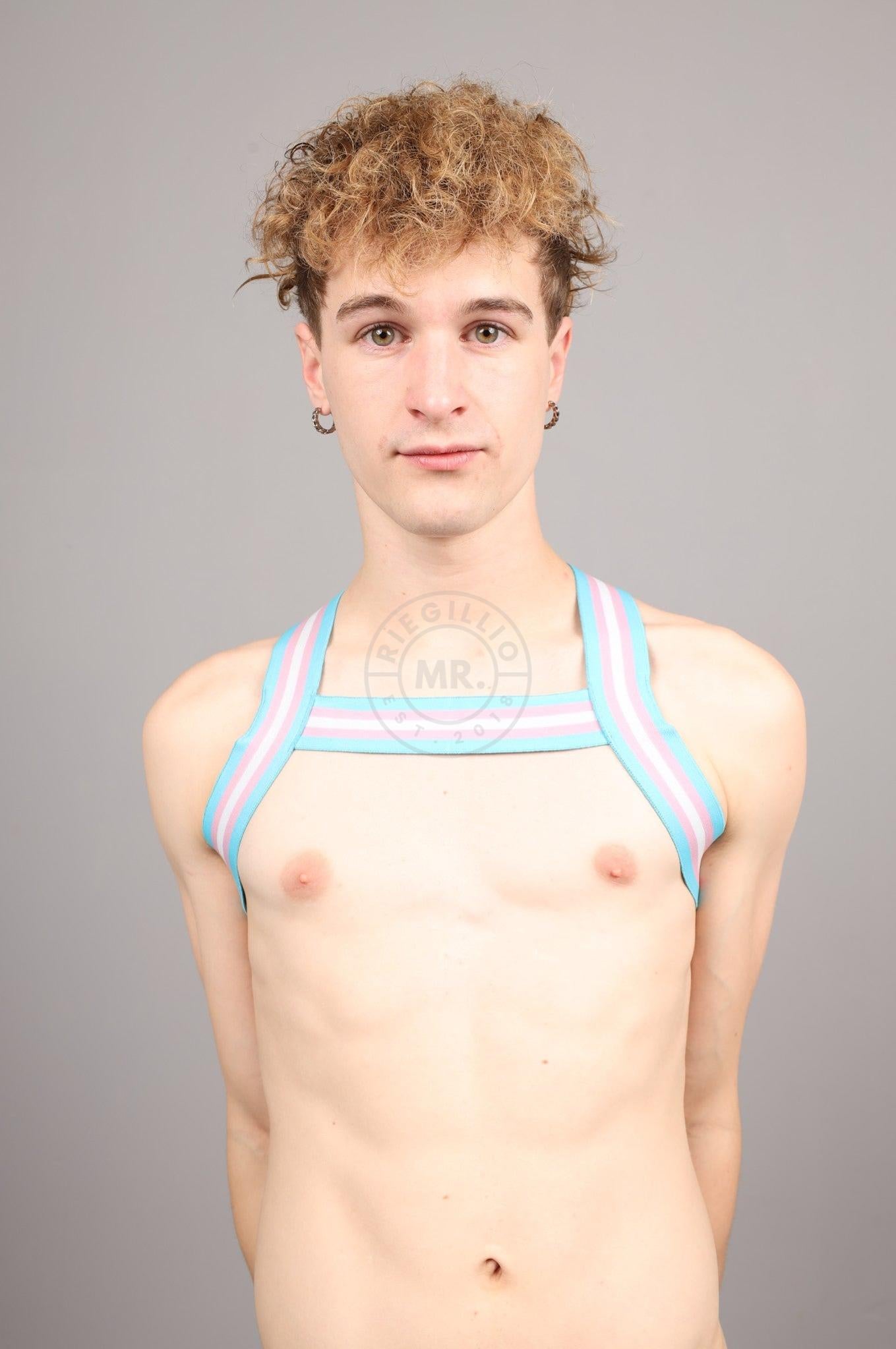 Elastic Harness - TRANSGENDER Flag at MR. Riegillio