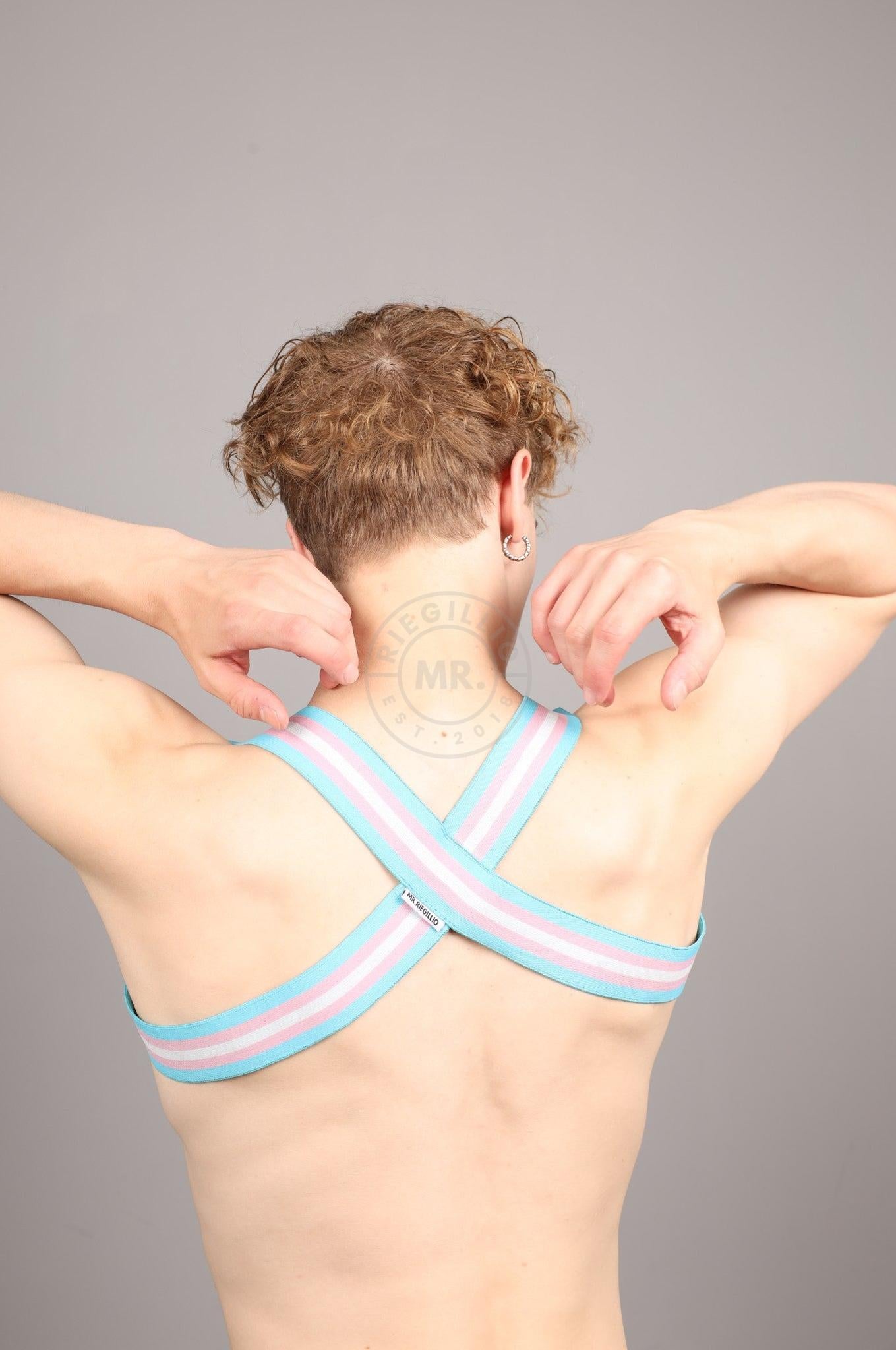 Elastic Harness - TRANSGENDER Flag at MR. Riegillio
