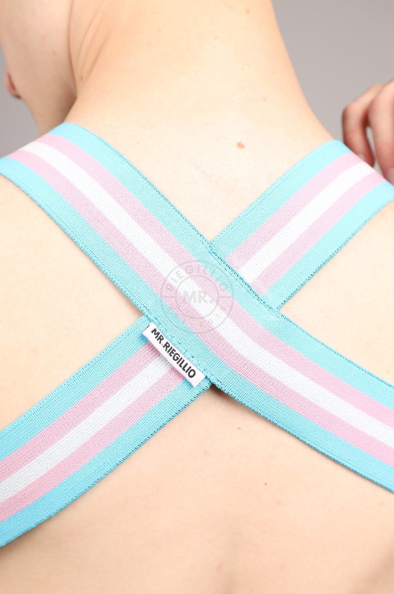 Elastic Harness - TRANSGENDER Flag at MR. Riegillio