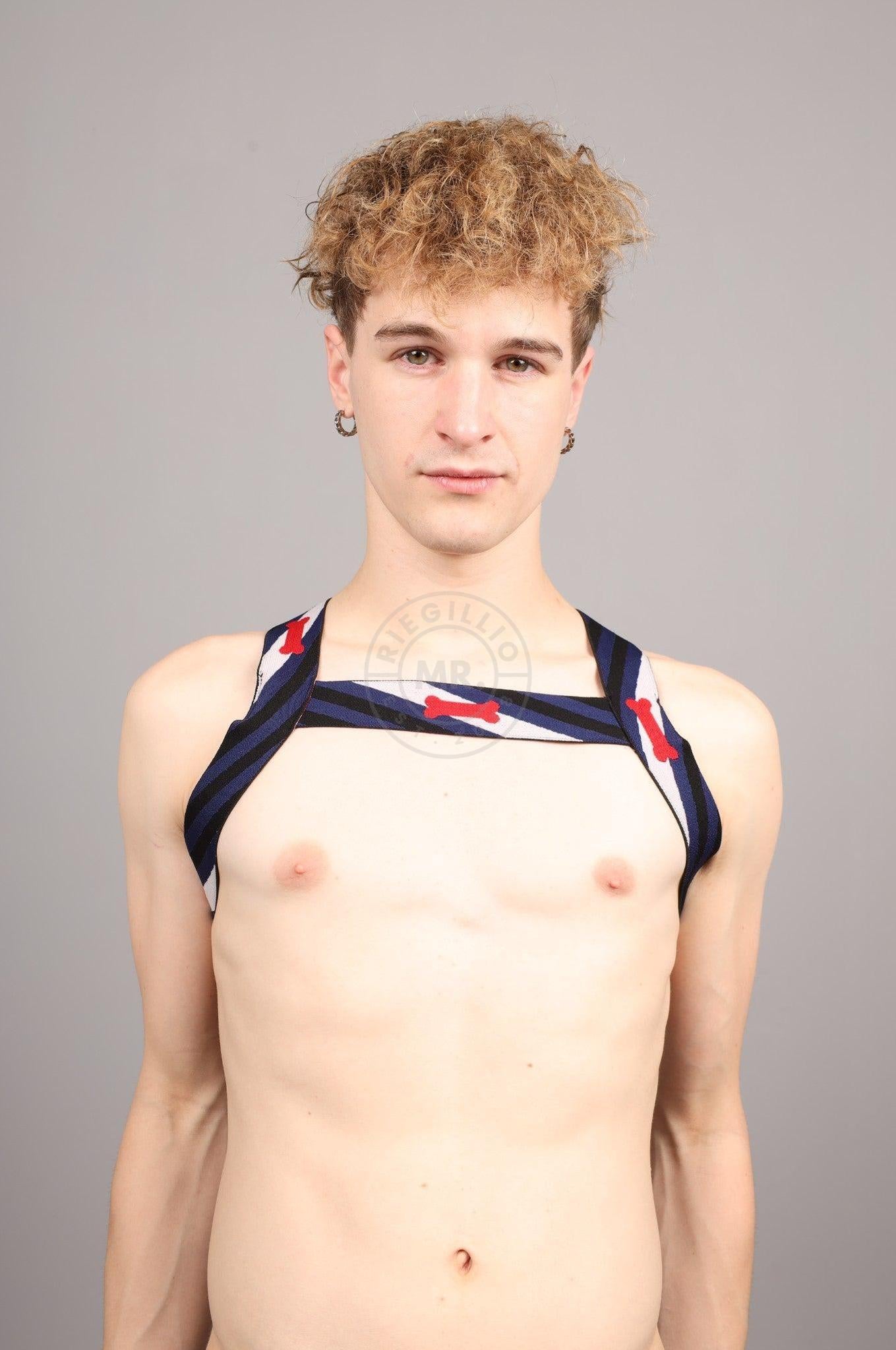 Elastic Harness - PUPPY Flag at MR. Riegillio